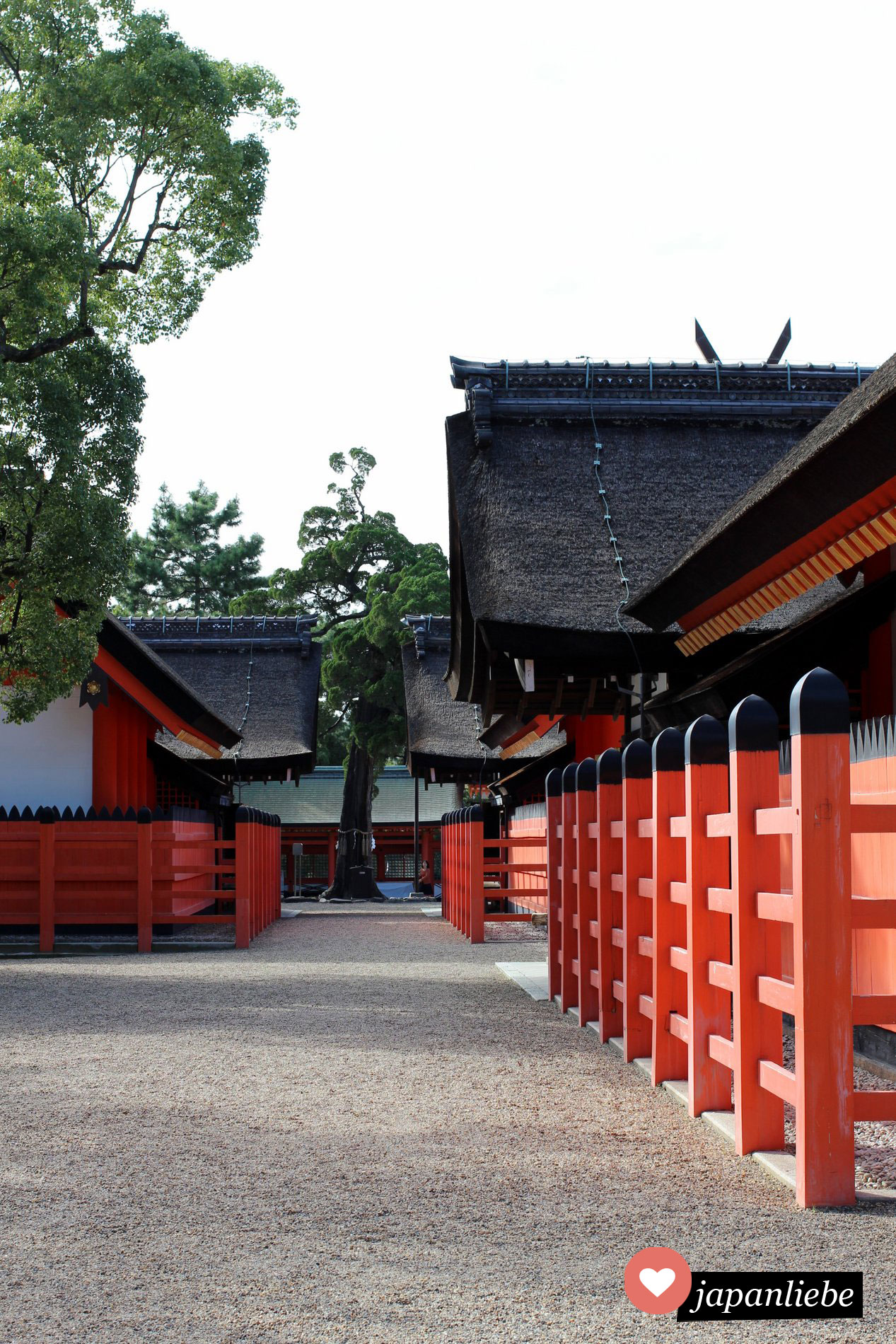 Schreingebäude am Sumiyoshi Taisha Schrein in Osaka, Japan
