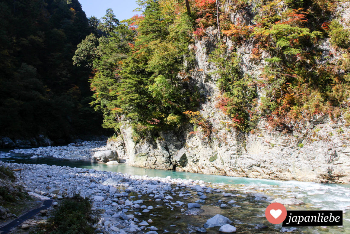 Man sollte in der Kurbo-Schlucht immer die Augen offen halten. Manchmal kann man sogar Affen und japanische Berziegen zu Gesicht bekommen.