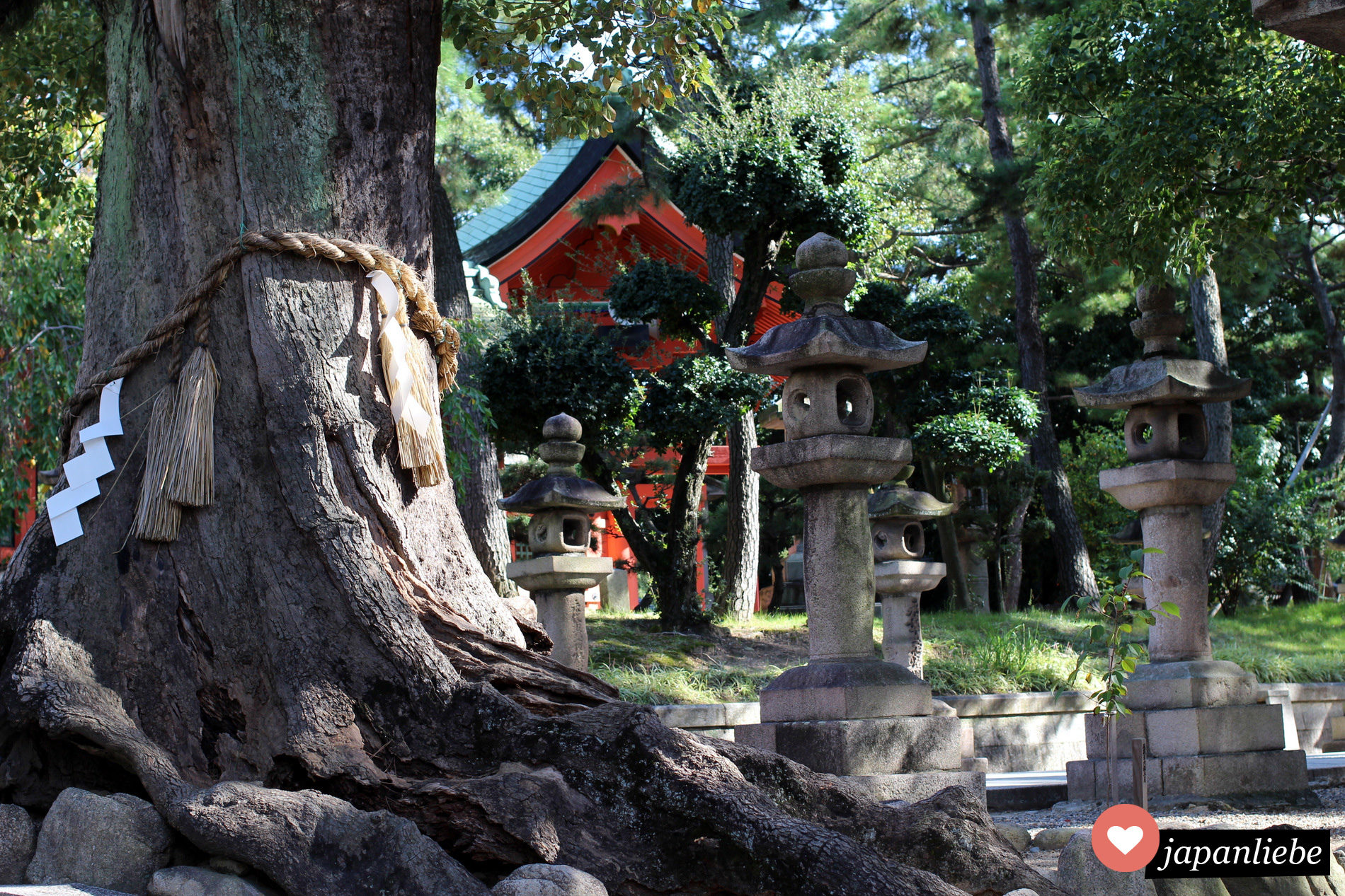 jinja, jingū, taisha, gū… ShintōSchreinTitel verstehen