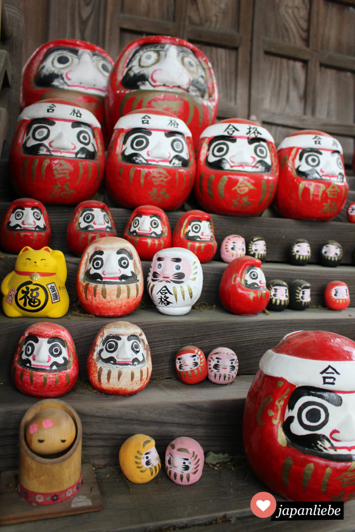 Unter viele Daruma-Figuren in allen Größen hat sich am Achi Schrein in Kurashiki auch eine gelbe Glückskatze gemogelt.