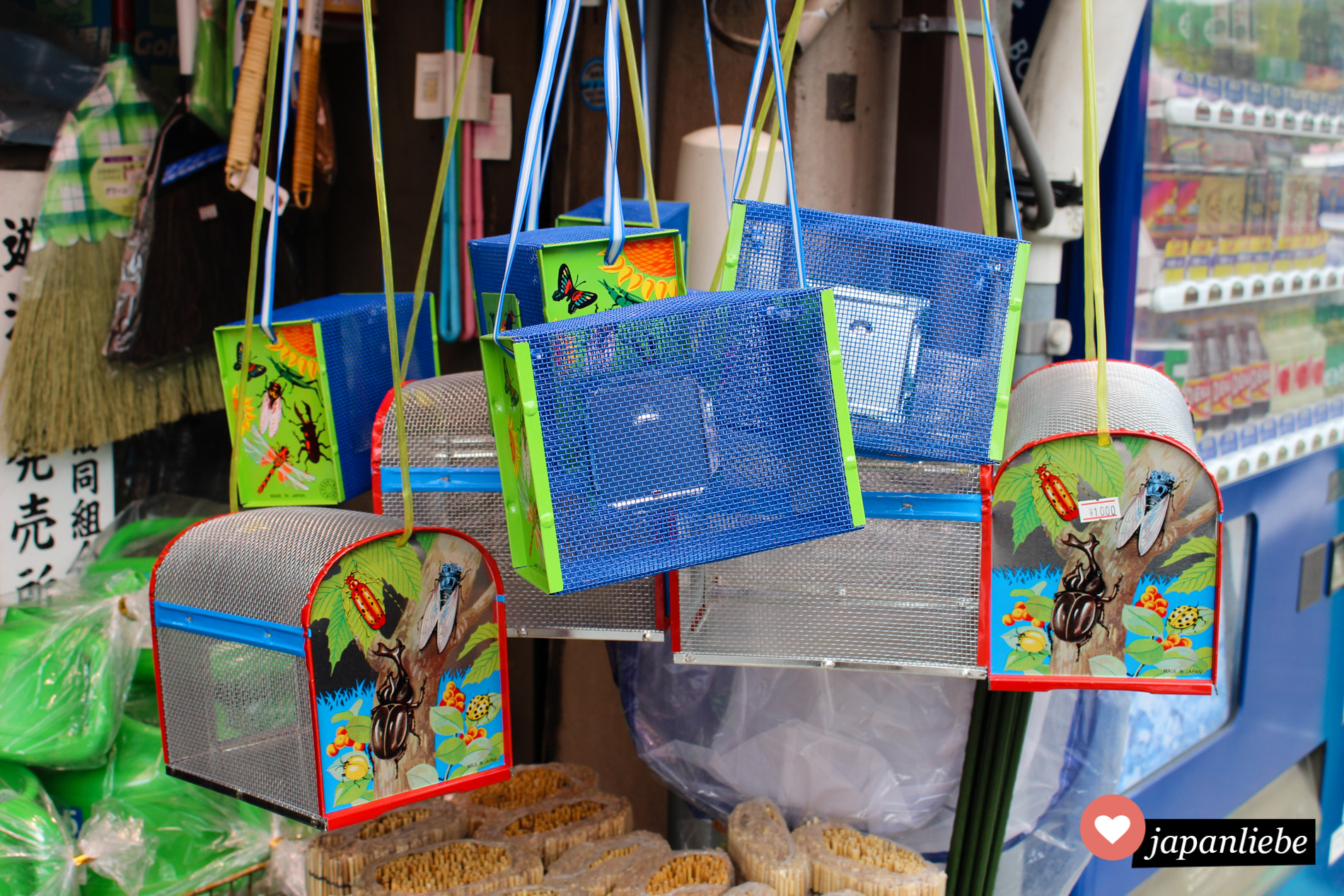 Käfige, mit denen japanische Kinder Insekten wie Nashornkäfer fangen können in Uji, Kyoto