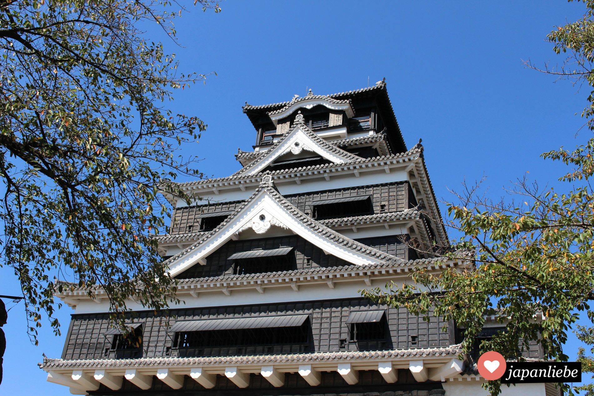 Ein Blickfang: die schwarze Burg von Kumamoto.