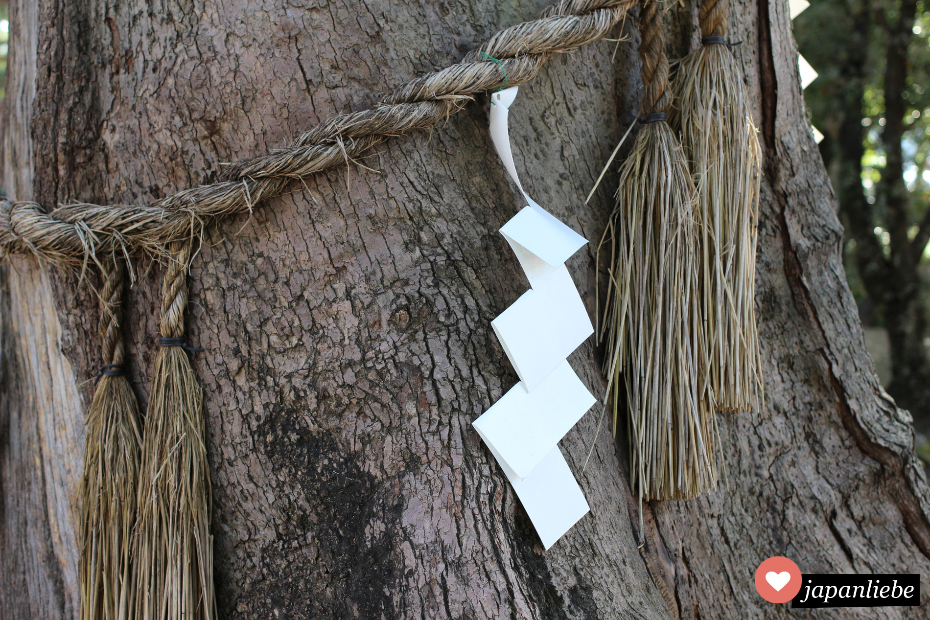 Ein heiliges Strohseil, ein shimenawa mit shide Papier-Zickzack-Streifen markiert einen heiligen Baum am Sumiyoshi Taisha Schrein in Ōsaka.