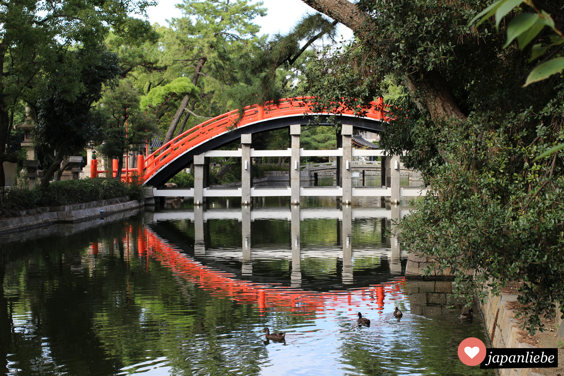 Die wunderschöne Sorihashi Brücke am Sumiyoshia Taisha Schrein in Ōsaka spiegelt sich im Wasser.