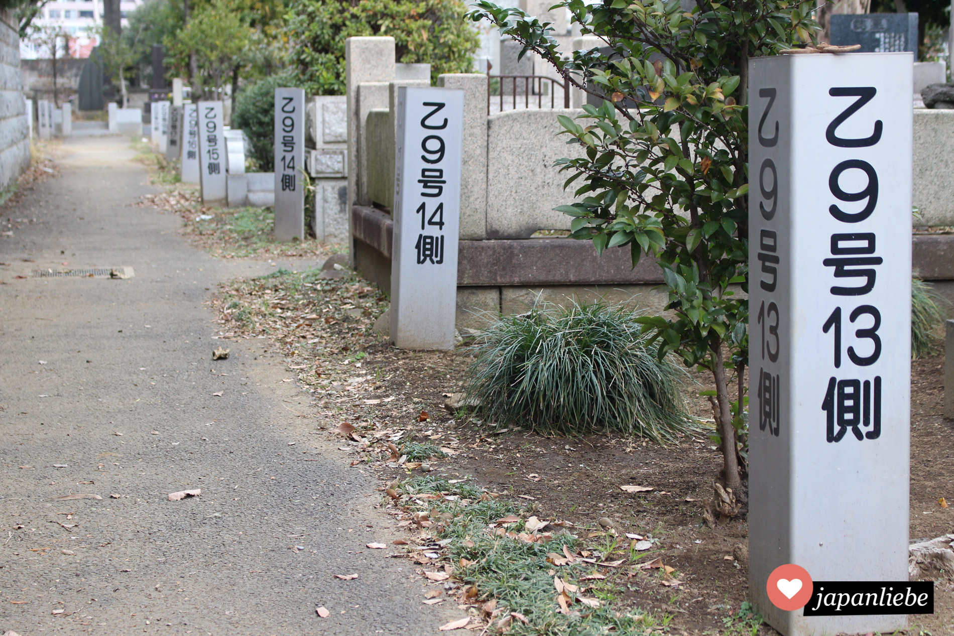 Wie auf jedem großen Friedhof ist die Fläche in ein Raster untergliedert.