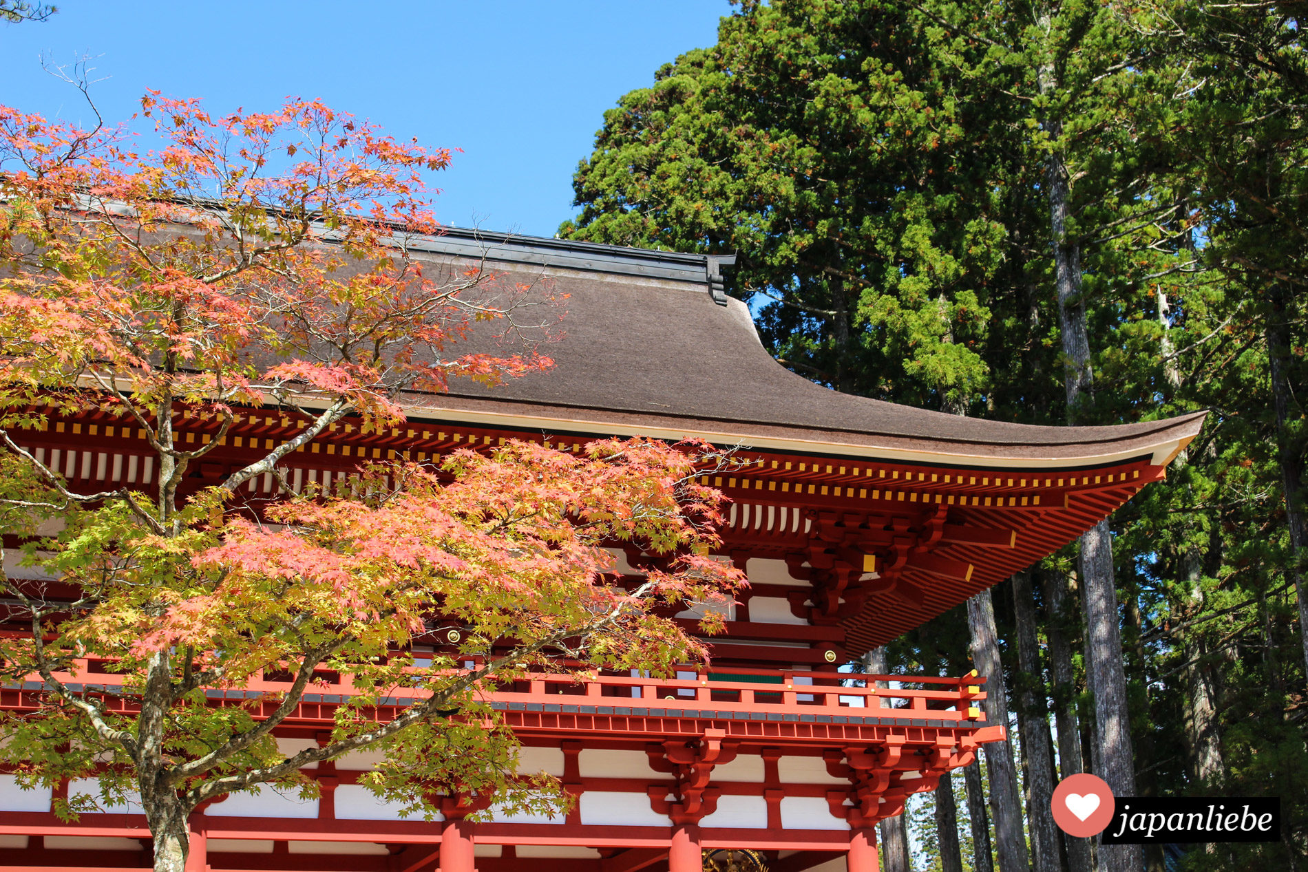 Das Daimon-Tor auf dem Kōya-san mit Herbstlaub
