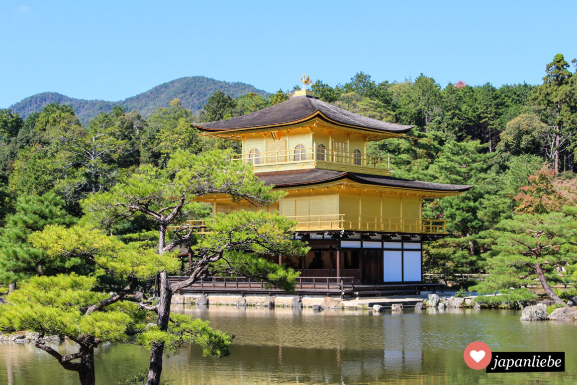 Kinkakuji der Goldene Pavillon in Kyōto japanliebe.de