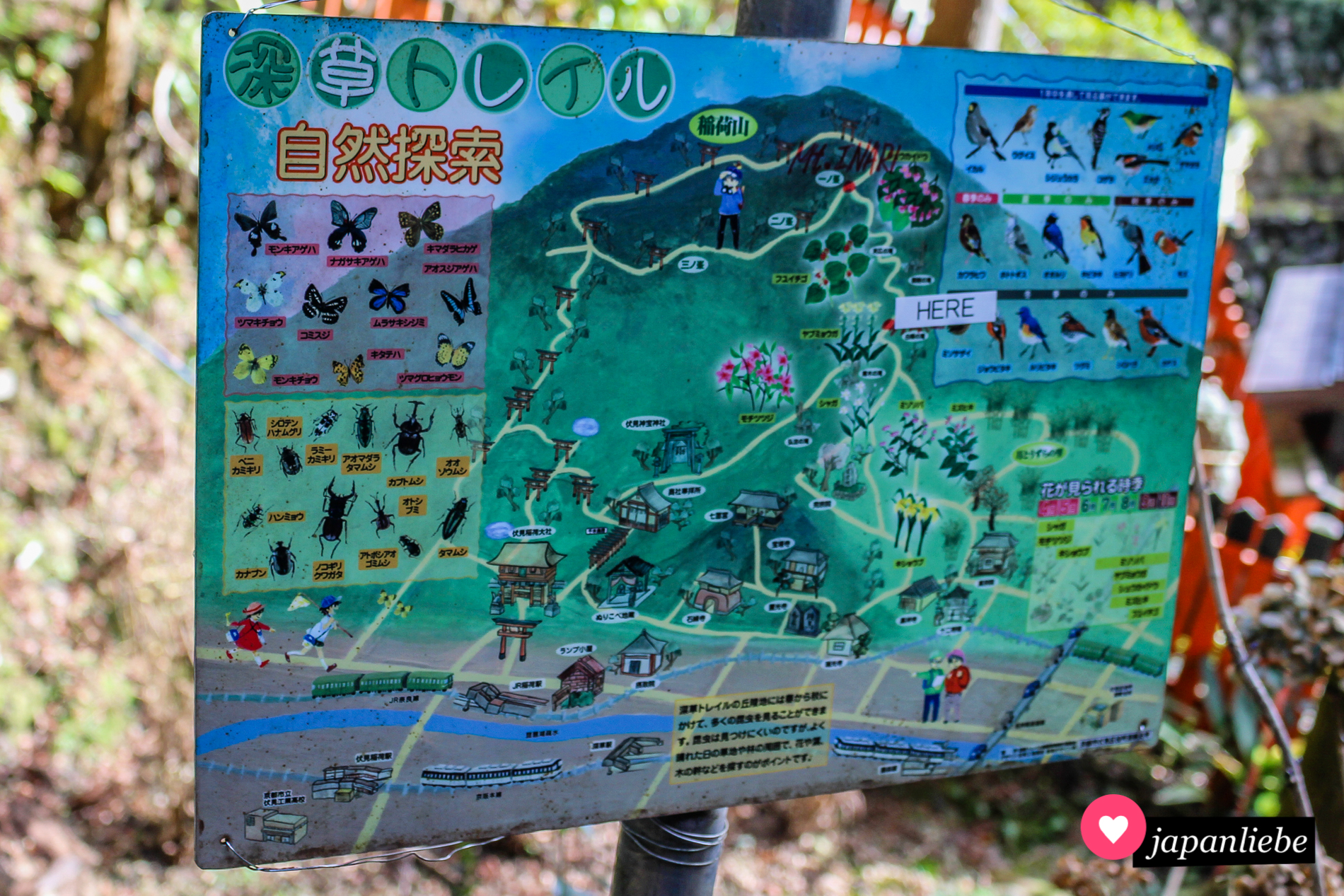 Manchmal hilft es, ein wenig Abseits der normalen Wege zu gehen, um den Touristenmassen zu entgehen. Die alternativen Wanderwege zur Spitze des Inari Bergs in Kyōto sind mein Geheimtipp für den überlaufenen Fushimi Inari Taisha Schrein.