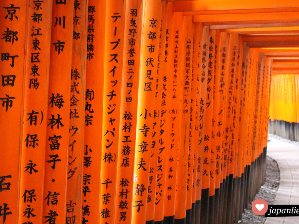 Hunderte rote Tore (jap. torii) säumen den Weg zur Spitze des Inari Bergs am Fushimi Inari Taisha Schrein in Kyōto.