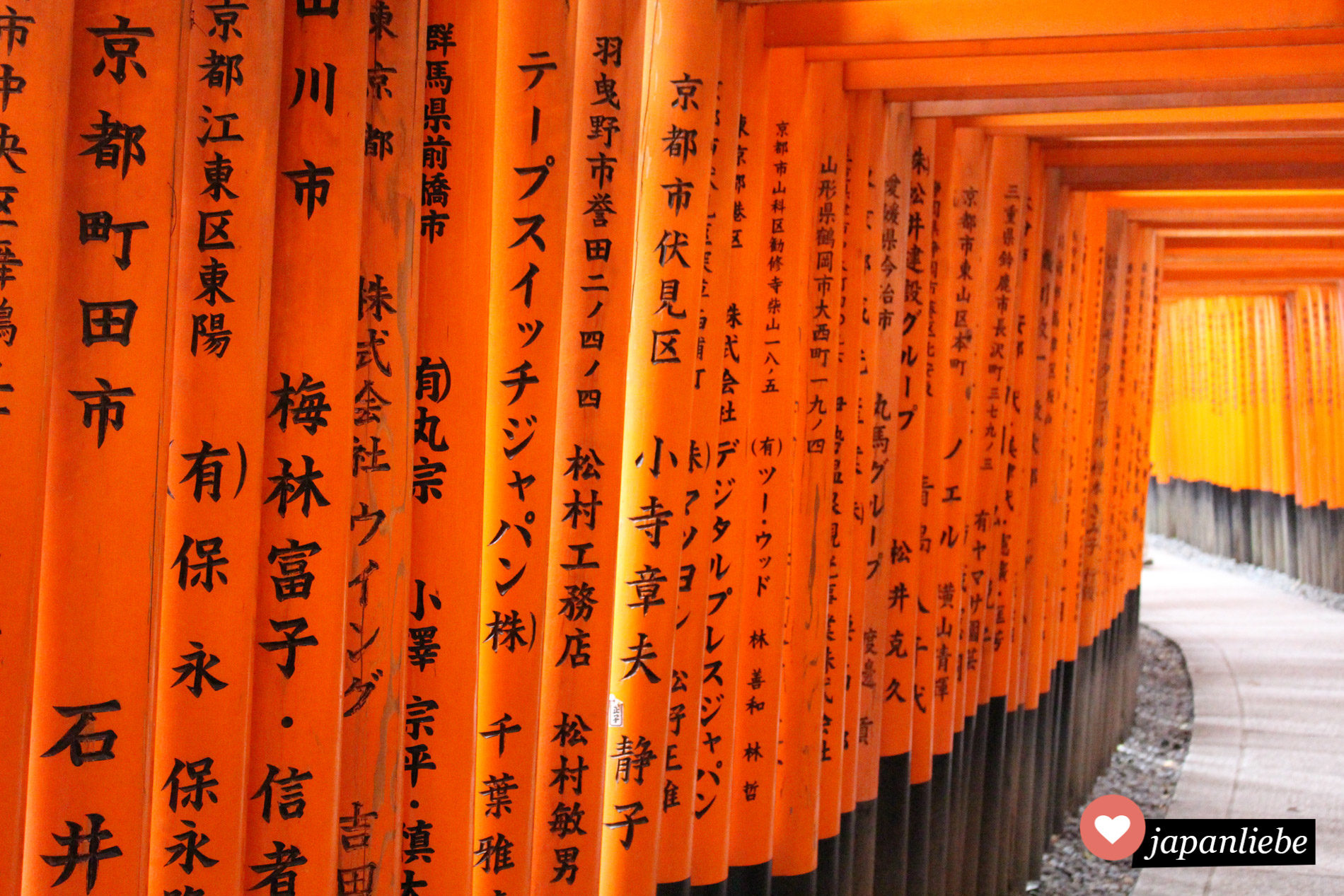 Hunderte rote Tore (jap. torii) säumen den Weg zur Spitze des Inari Bergs am Fushimi Inari Taisha Schrein in Kyōto.