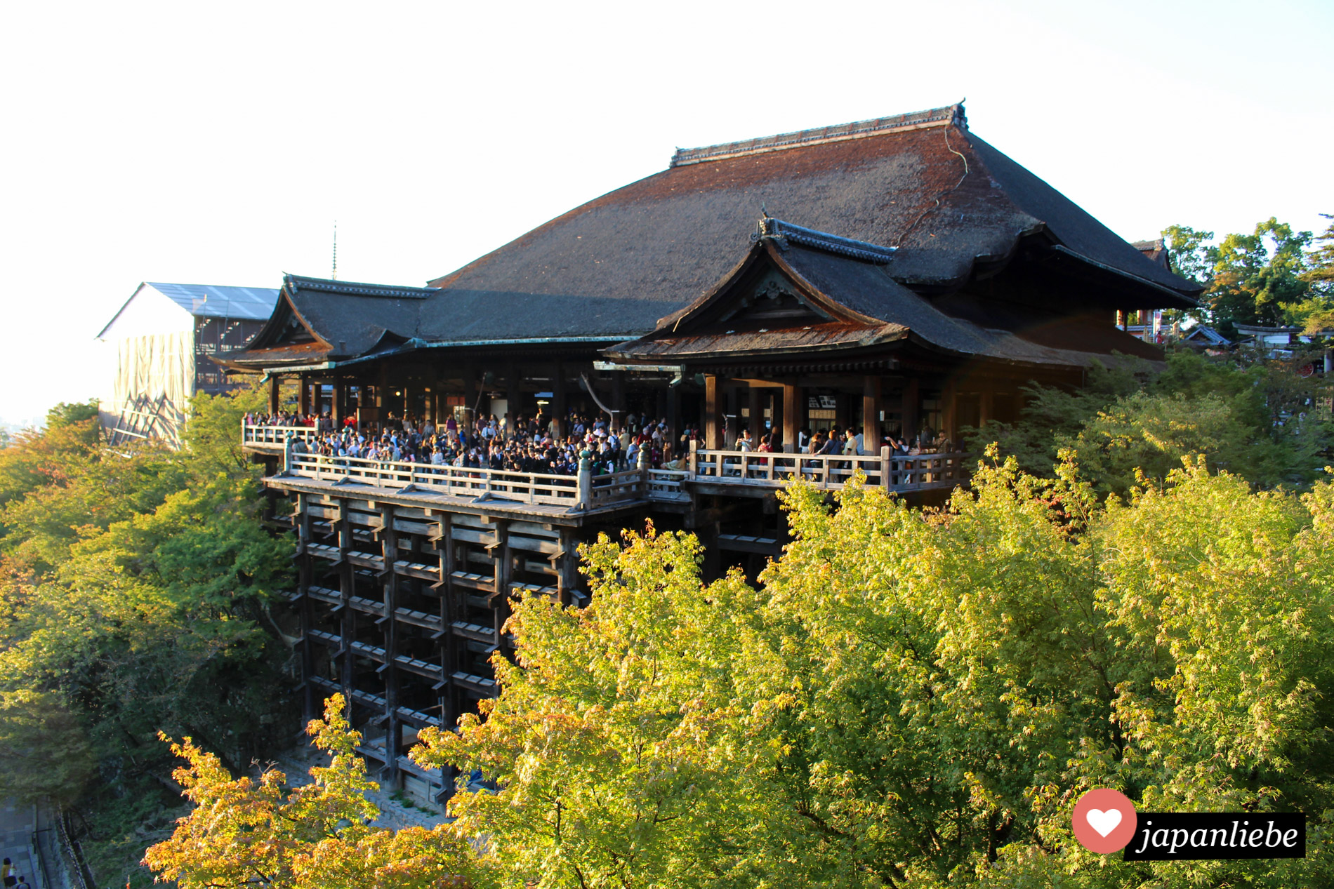 Schon seit vielen Jahren ist der UNESCO Weltkulturerbe Tempel Kiyomizudera in Kyōto mit seiner Holz-Stelzen-Konstruktion ein Touristenmagnet.