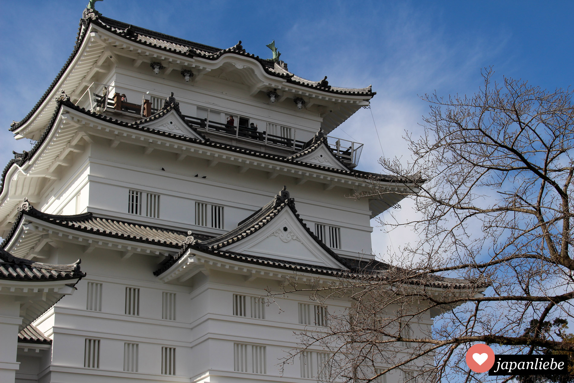 Die Burg in Odawara sehen die meisten nur beim Vorbeifahren vom Fenster des Shinkansen aus.