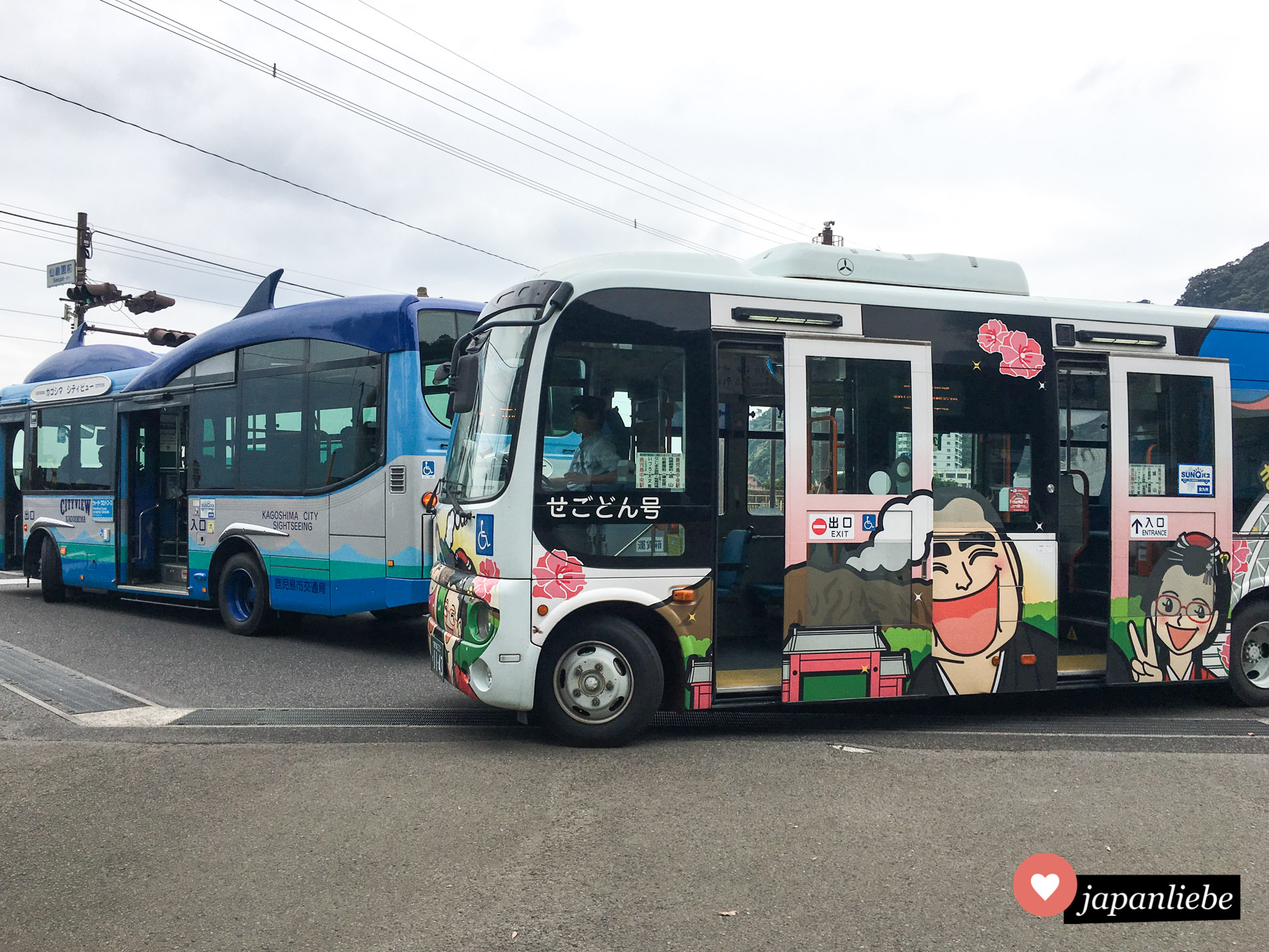 Gleich zwei verrückte Bus-Modelle fahren durch Kagoshima: der niedlich verzierte Touristenbus und einer, mit einem Walfisch auf dem Dach.