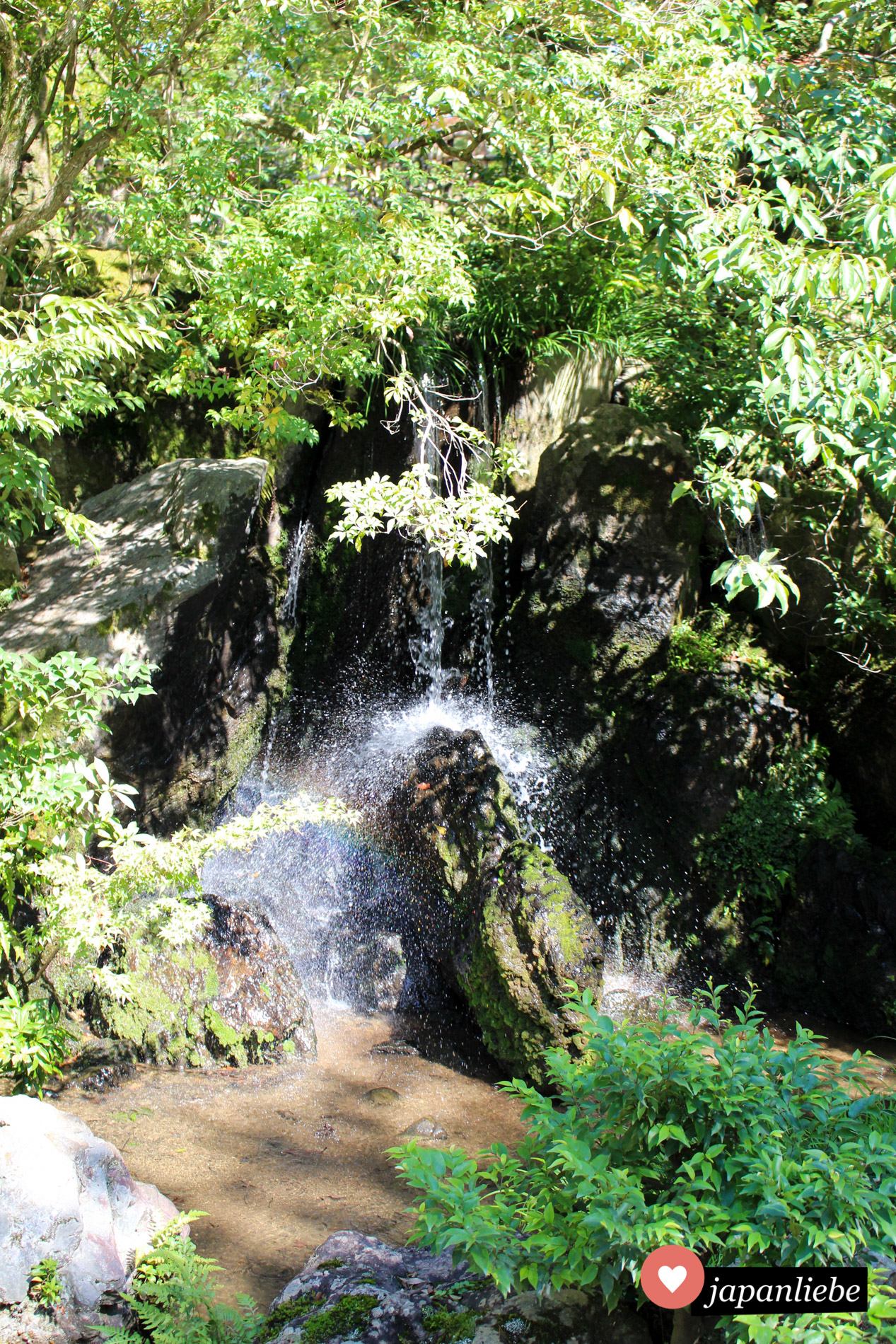 Der Ryumon-taki Wasserfall mit dem Karpfenstein in der Mitte. Irgendwann wird vielleicht ein Drache daraus.