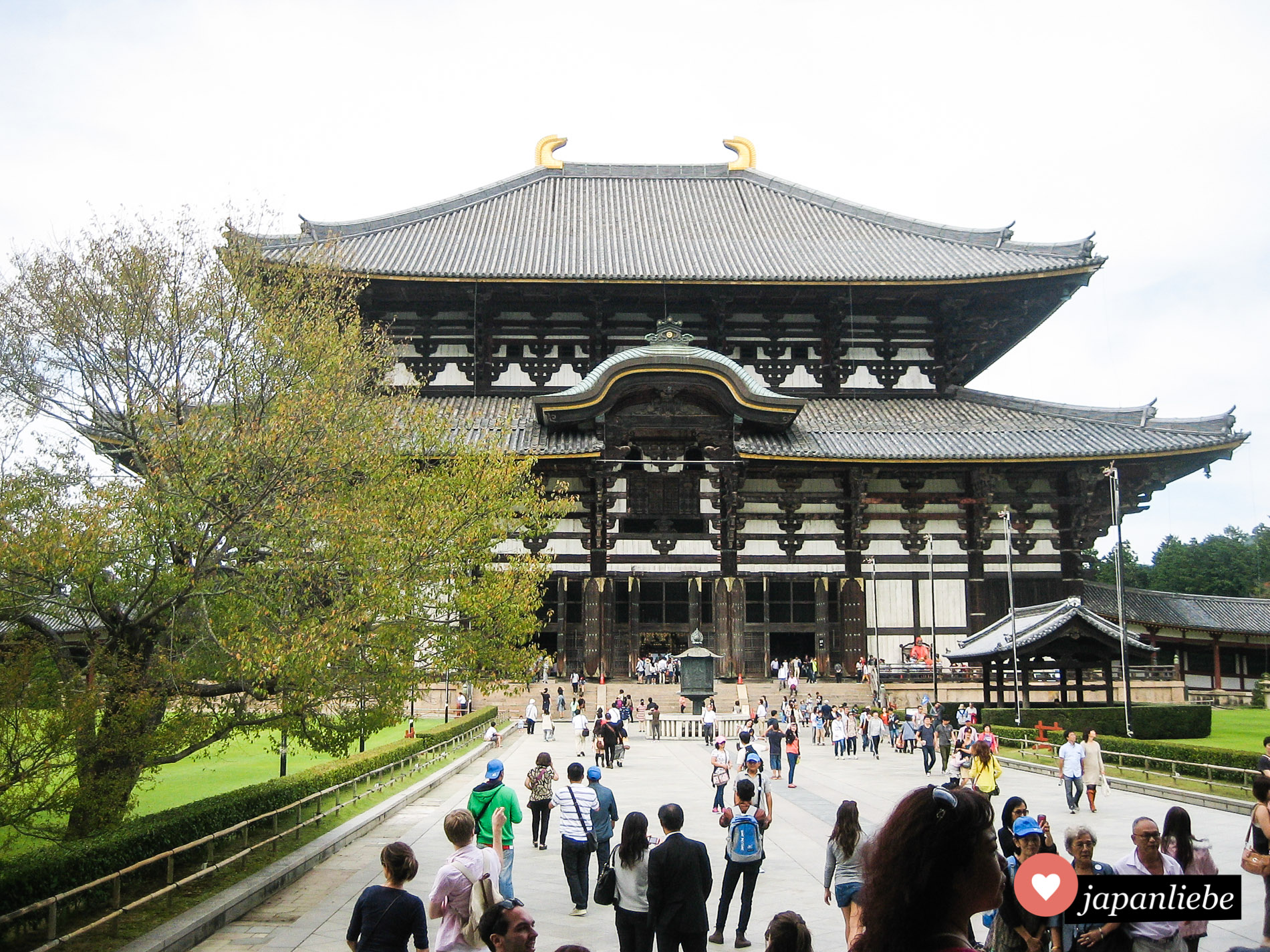 Die Haupthalle des Todai-ji-Tempels in Nara behergbert eine riesige Buddhastatue und gehört zum UNESCO Weltkulturerbe.