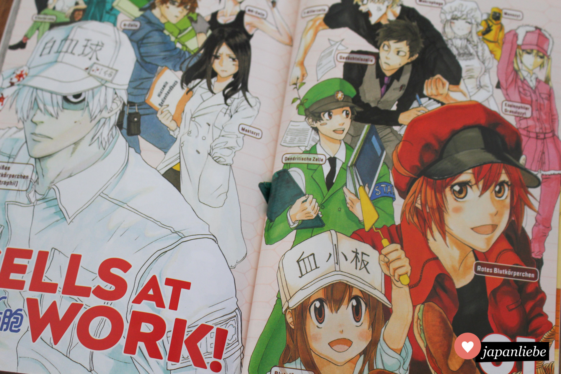 Manga Cult geizt nicht bei der Qualität ihrer Manga und spendiert den Bänden Farbseiten. Bei "Cells at Work!" kommen die unterschiedlichen Zelltypen erst durch die Colorierung so richtig zur Geltung.