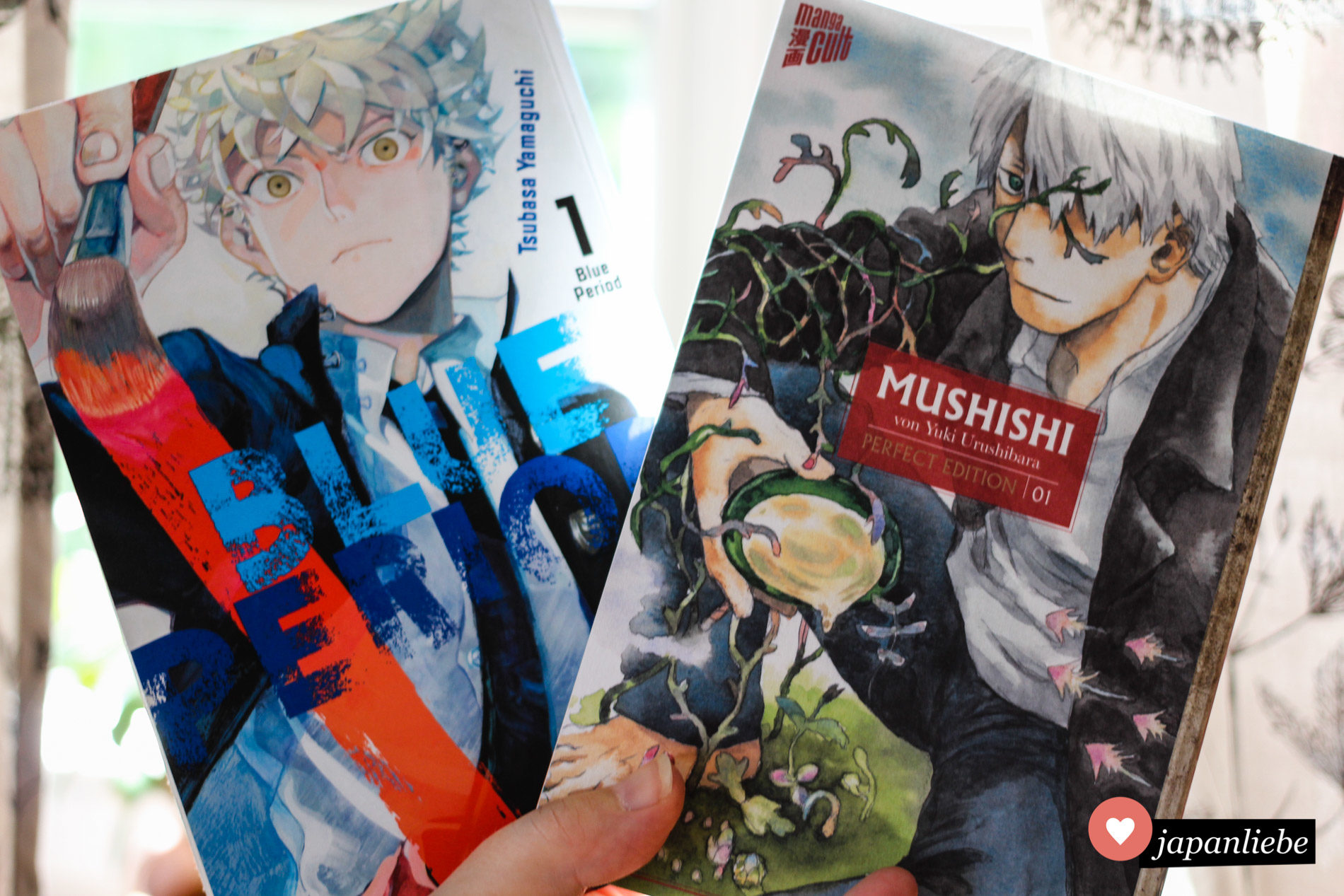 "Blue Period" und "Mushishi" Band 1