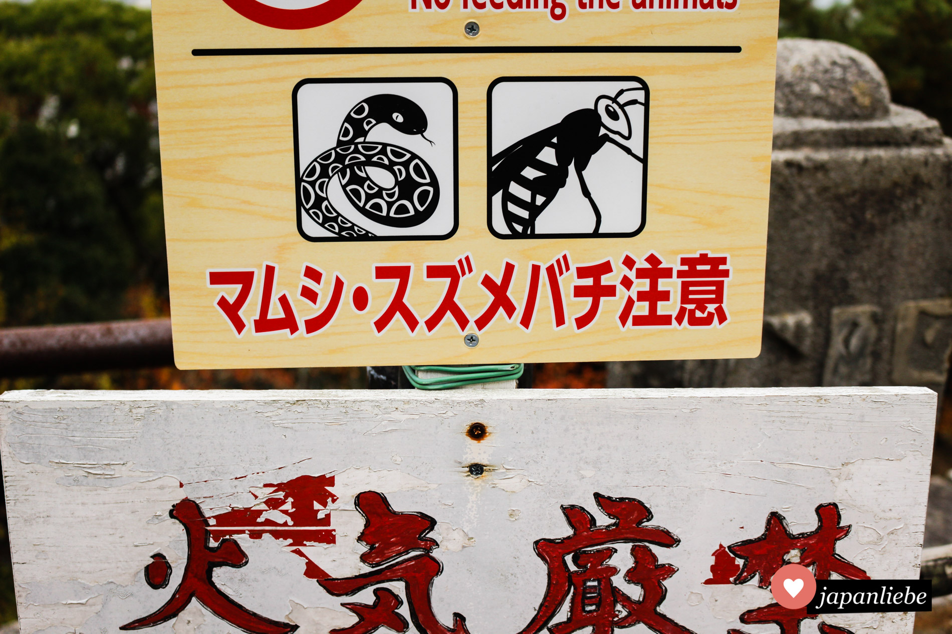 Mit Schlangen und Hornissen ist in Japan nicht zu spaßen.