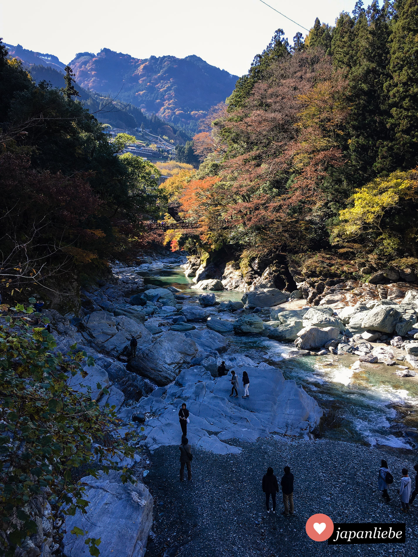 Vor allem im Herbst, wenn Japans Herbstlaub leuchtet, ist es im Iya-Tal besonders schön.