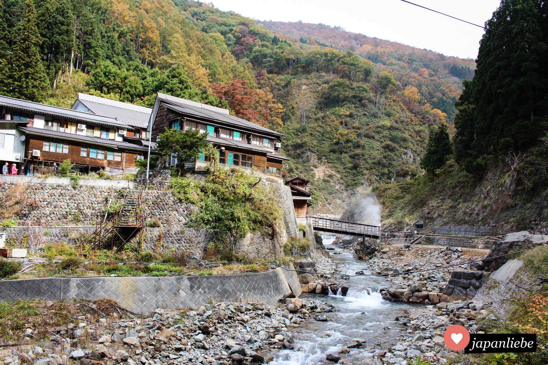 Wo die Geschichte der badenden Schneeaffen begann: an diesem ryōkan lernten die Affen das heiße onsen-Wasser zu schätzen.