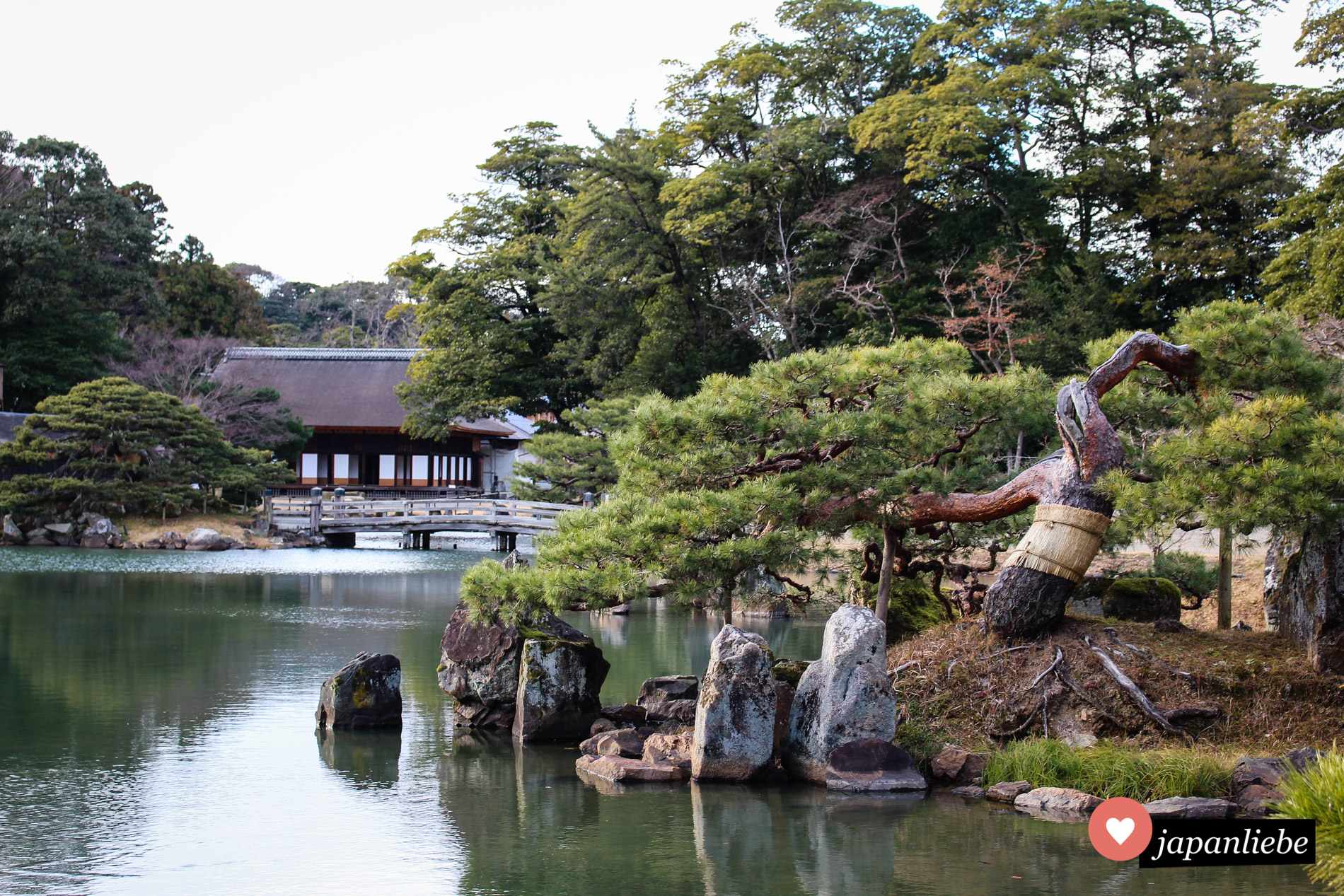 Der Genkyū-en Garten liegt am Fuße der Burg Hikone.