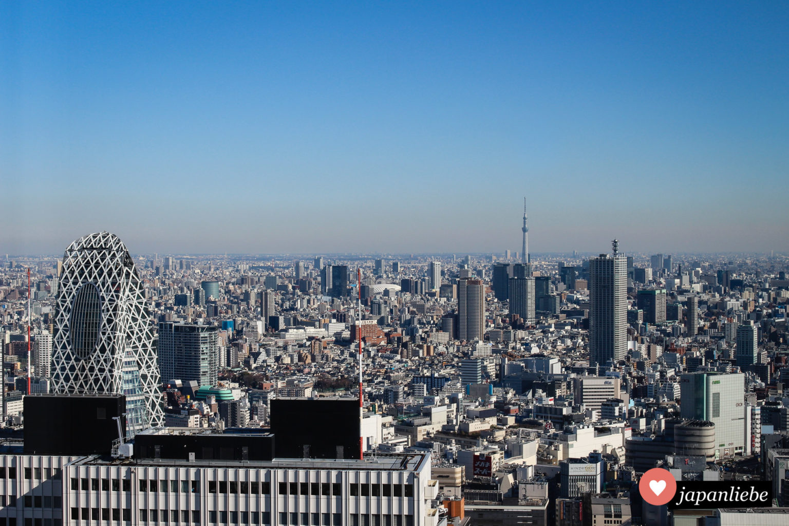 Tōkyō Metropolitan Government Building Tipp für deine