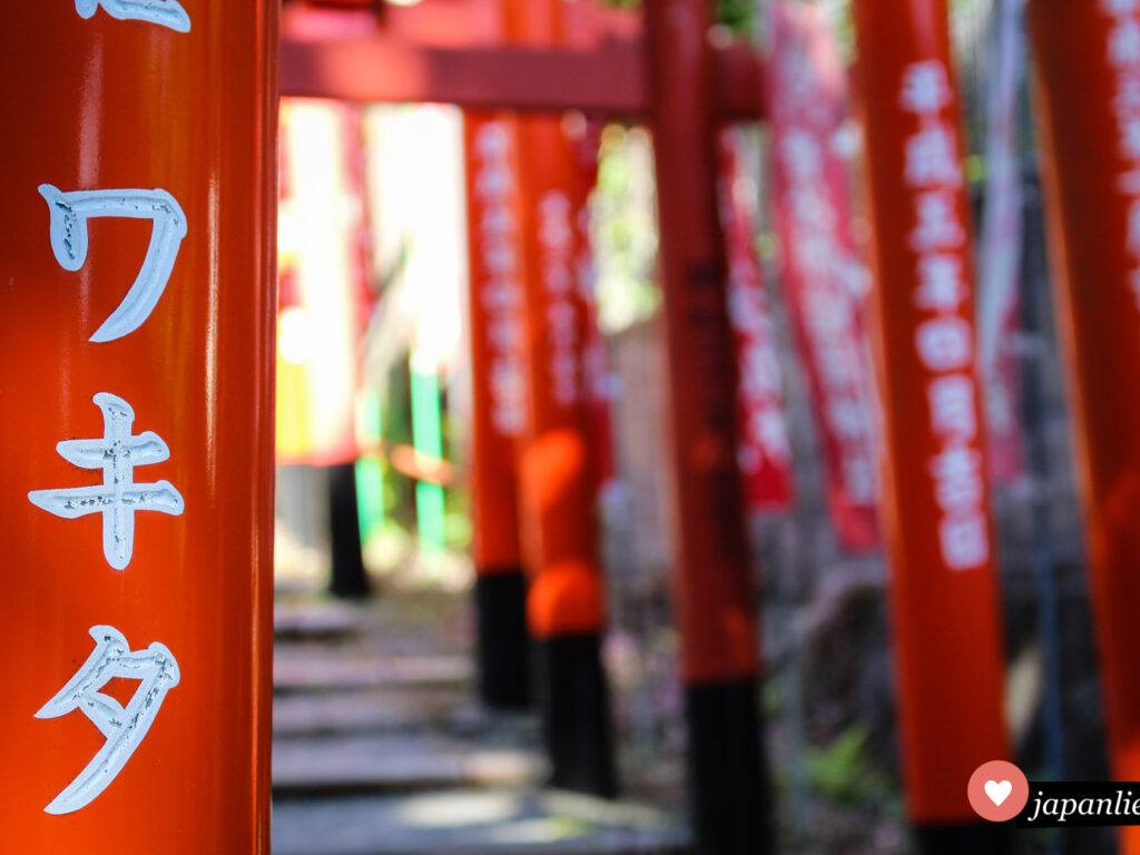 Rote torii auf dem Weg zum Atago Schrein in Fukuoka.