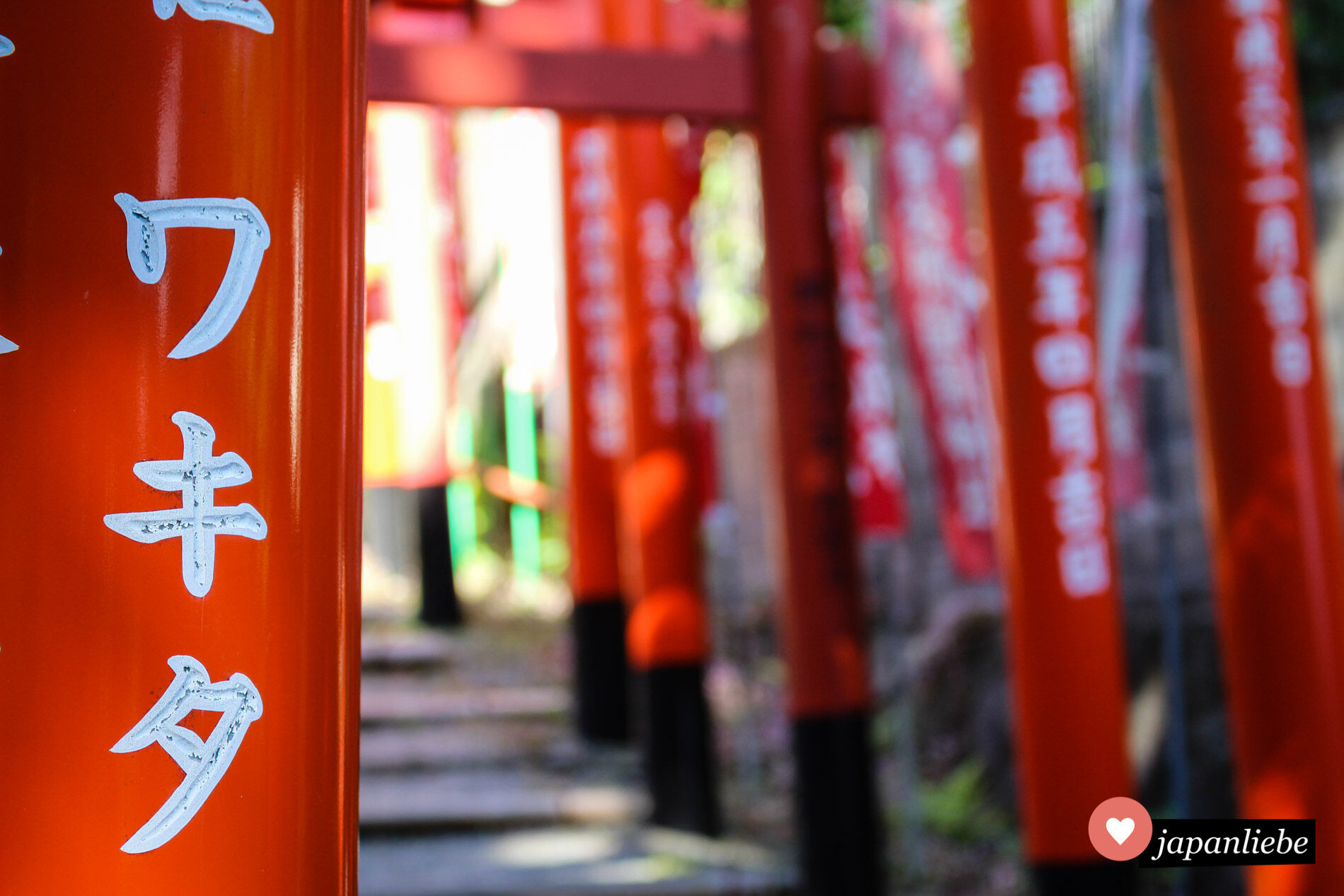 Rote torii auf dem Weg zum Atago Schrein in Fukuoka.