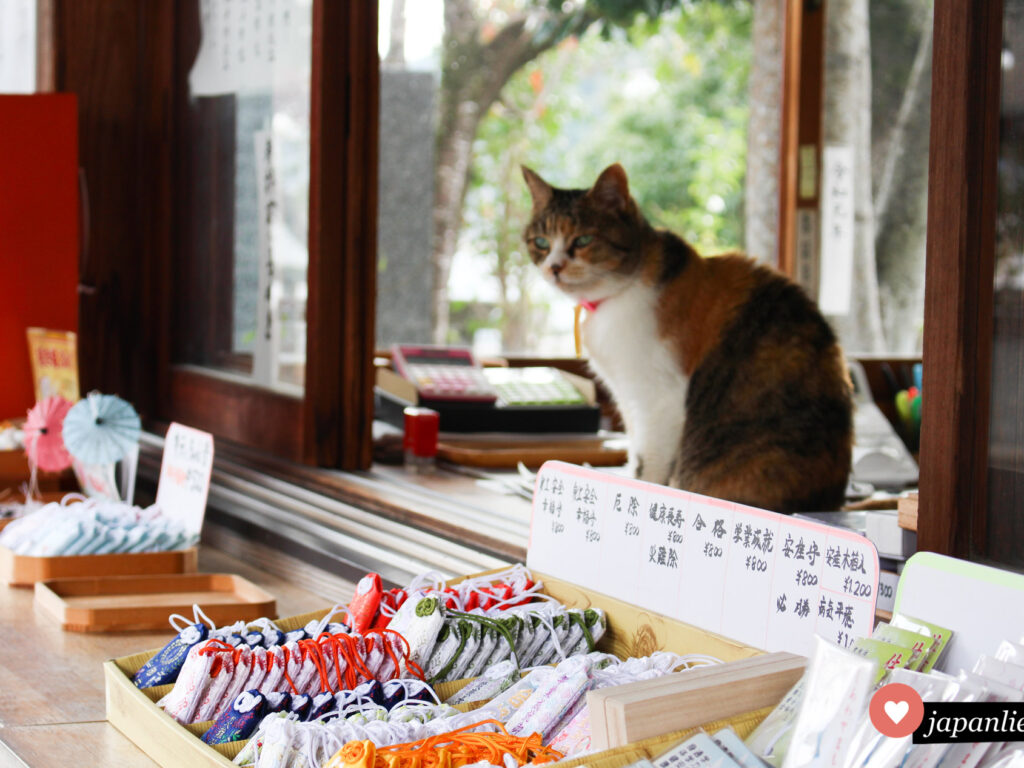 Eine Katze hilft am Ichijo Schrein in Nakamura beim Talisman-Verkauf.