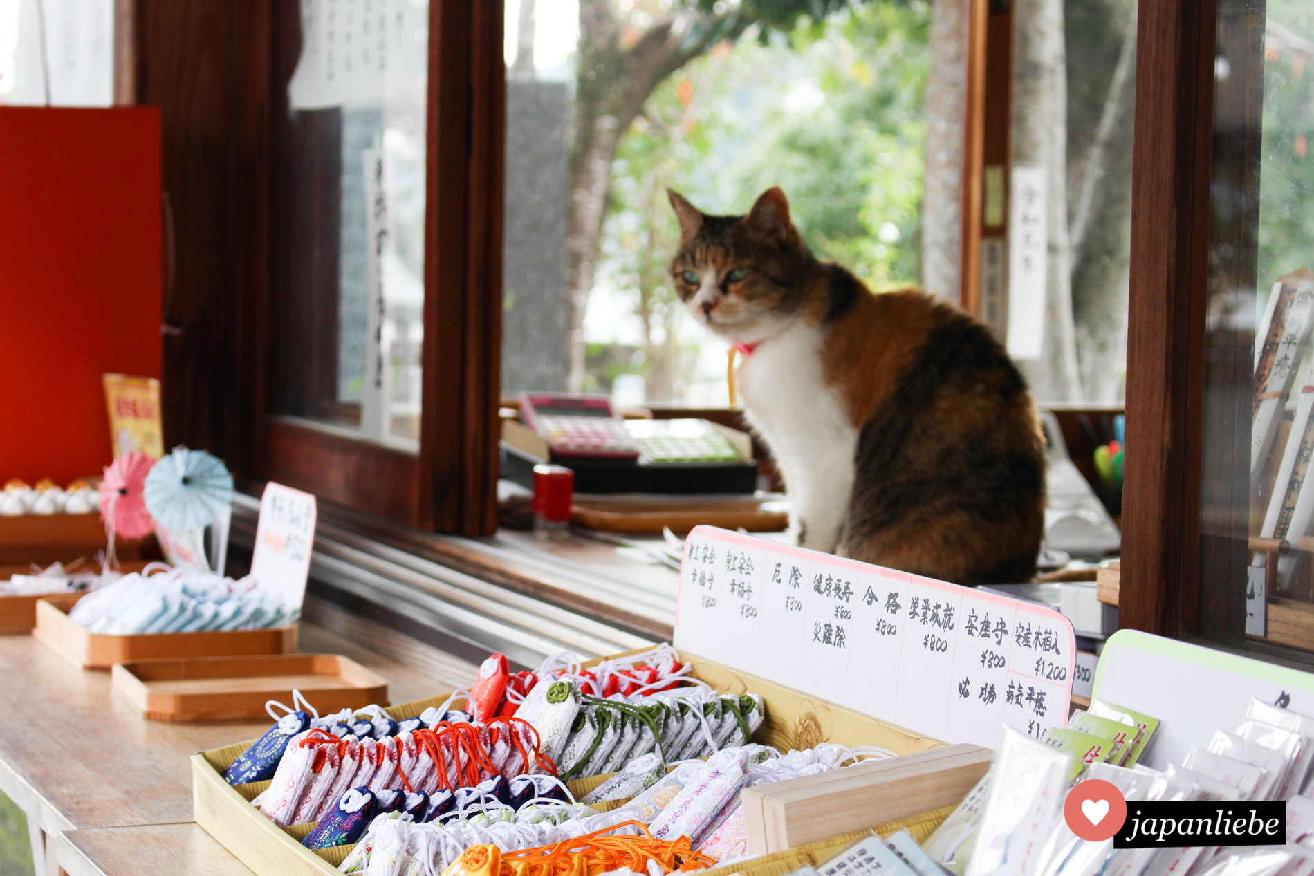 Eine Katze hilft am Ichijo Schrein in Nakamura beim Talisman-Verkauf.