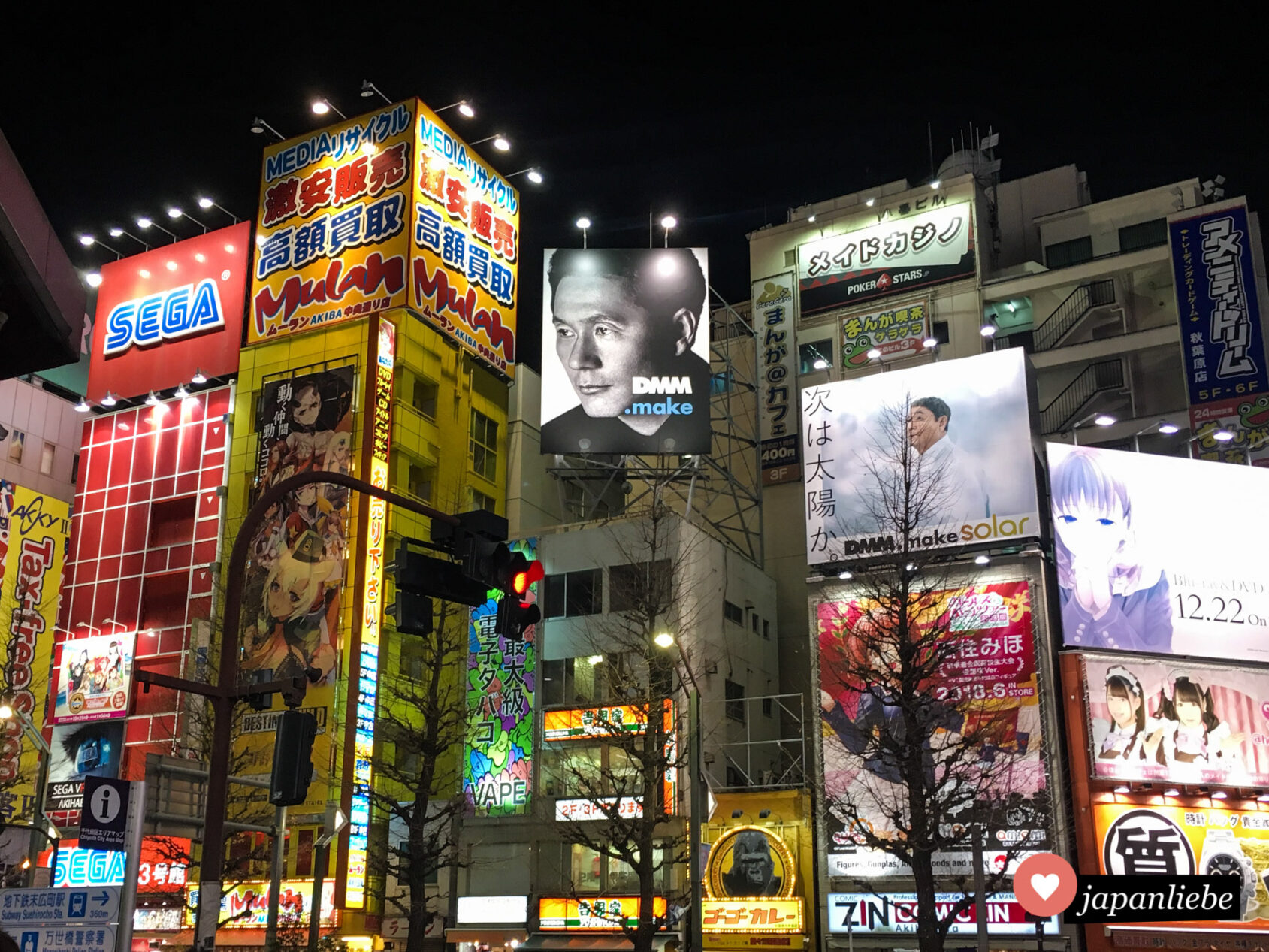 Akihabara bei Nacht.