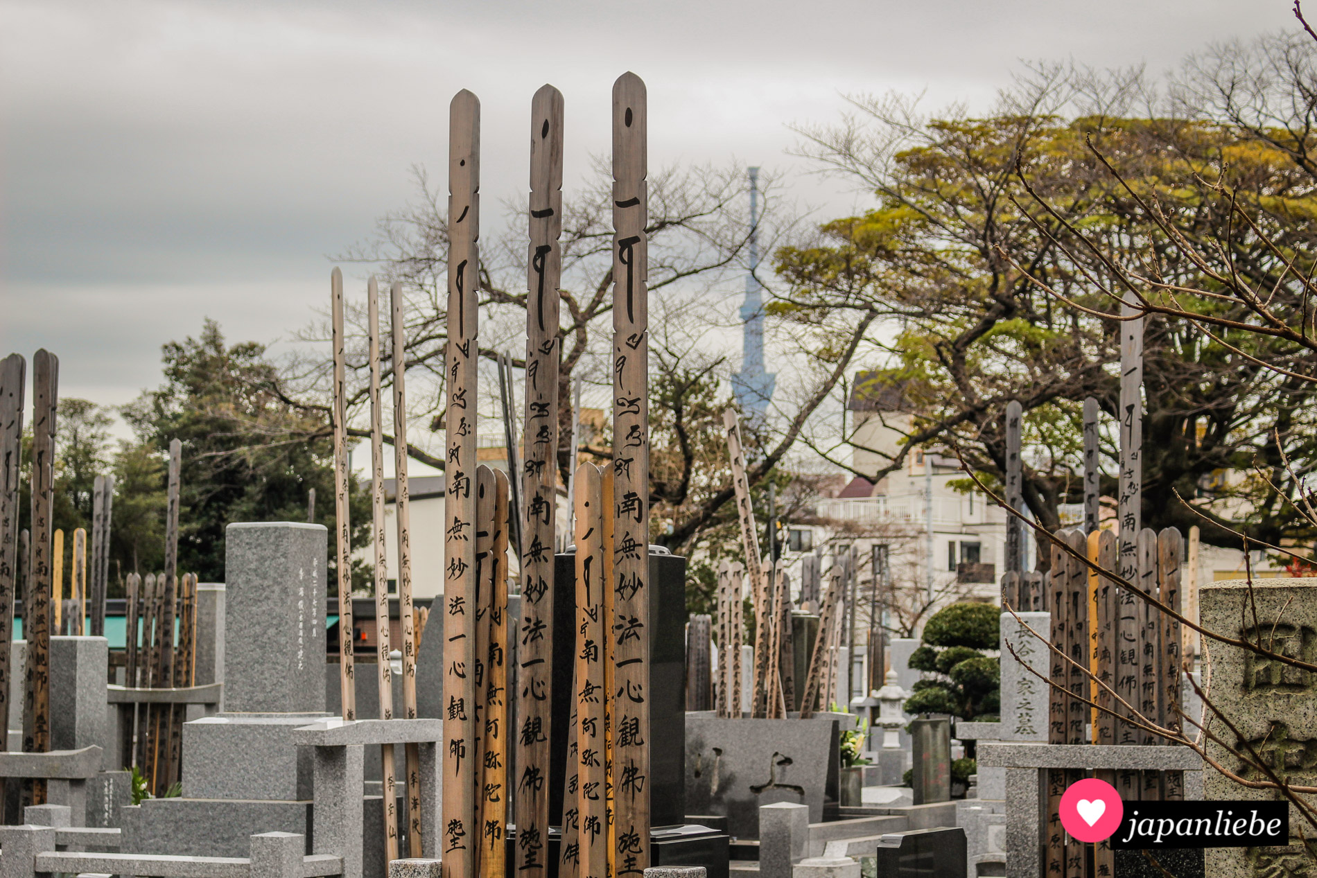 Gräber mit sotōba-Holzgedenktafeln am Yanaka-Friedhof in Tōkyō.