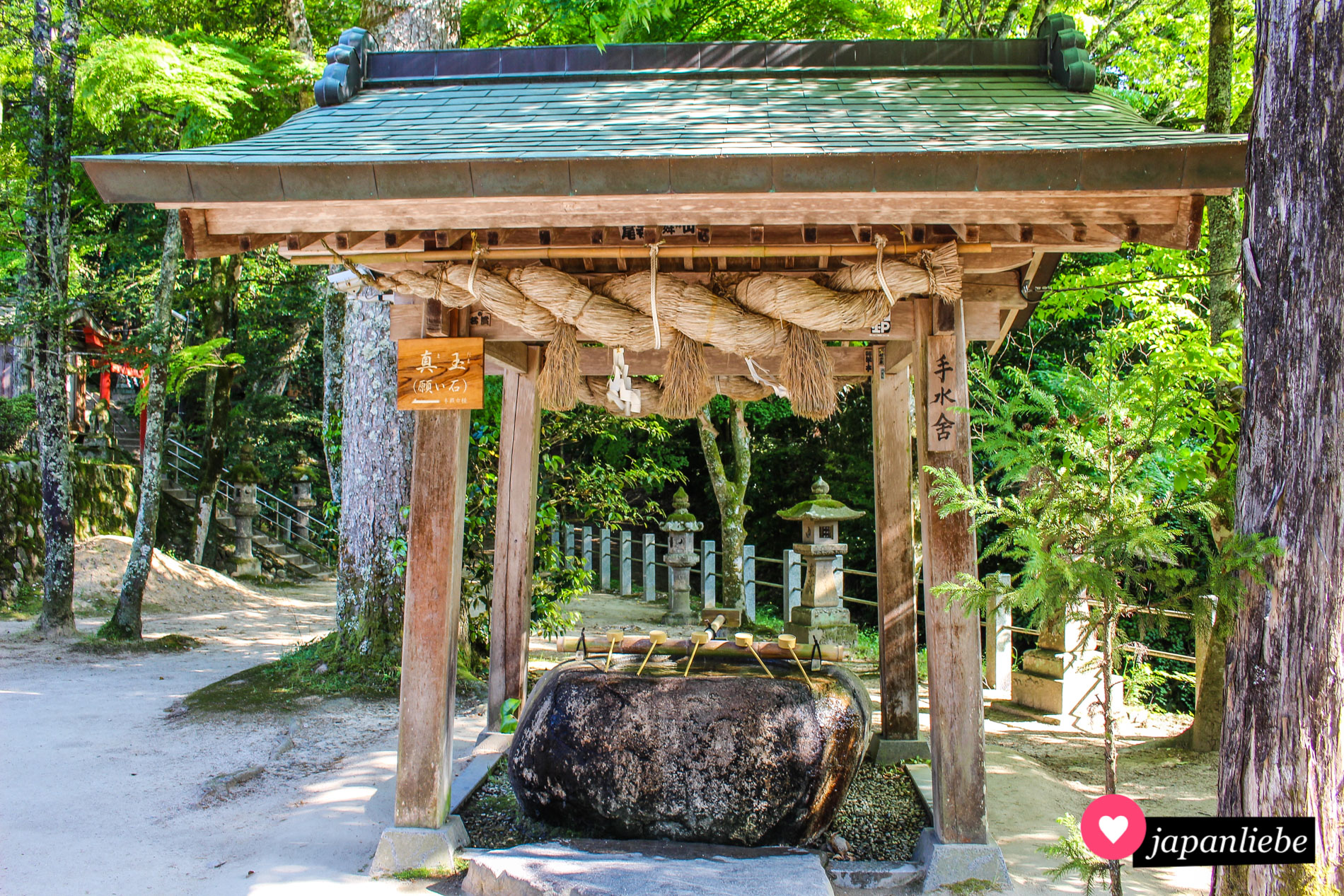 Selbst den Schreinbrunnen des des Tamatsukuriyu-Schreins zieren mächtige shimenawa.