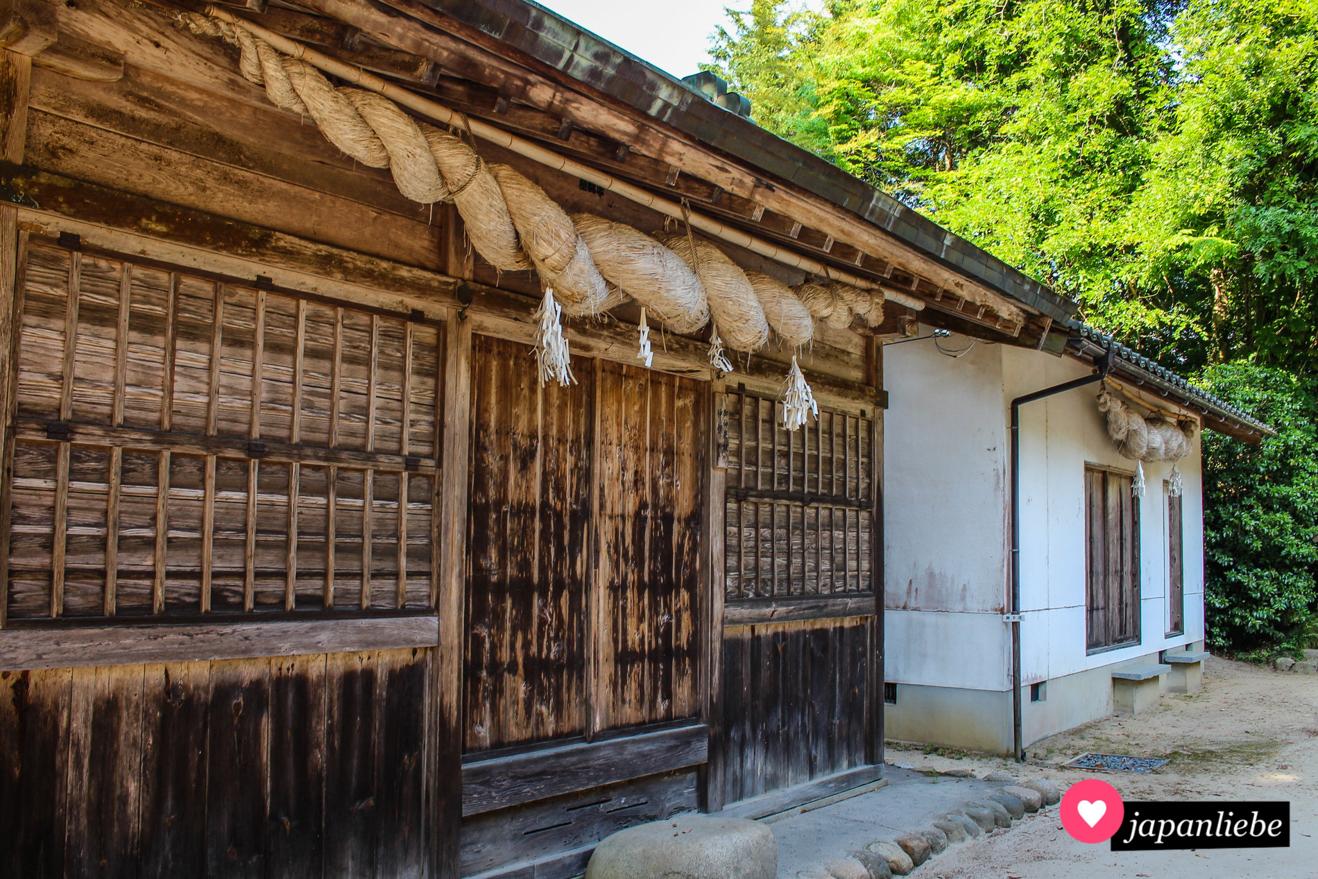 Die Gebäude des des Tamatsukuriyu-Schreins sind rundum mit dicken shimenawa-Reisstrohseilen geschmückt.