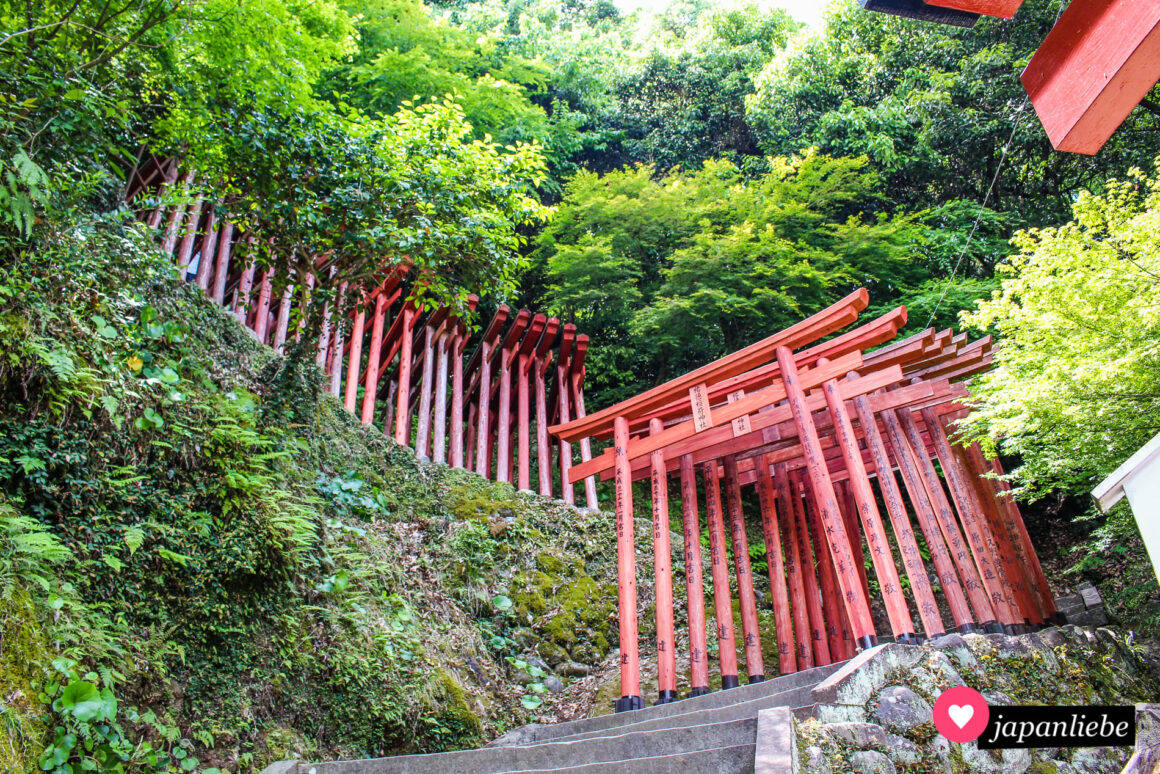 Yūtoku Inari In Kashima Einer Von Japans Drei Großen Inari Schreinen