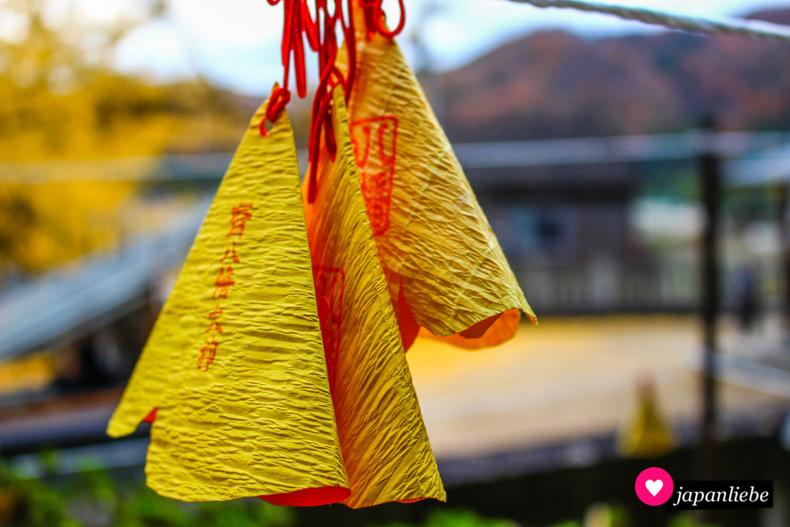 Ginkozauber am Iwabu HachimanSchrein in Shionoe [Bildersammlung