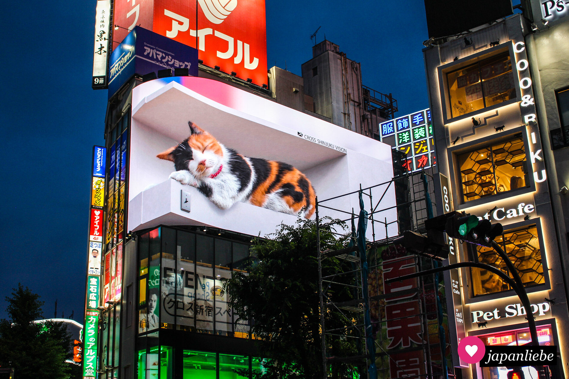 Der neue Star von Shinjuku: eine riesige, digitale 3-D-Katze.