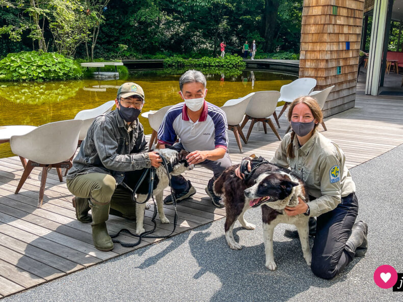Das Team vom Picchio Wildlife Research Center in Karuizawa.
