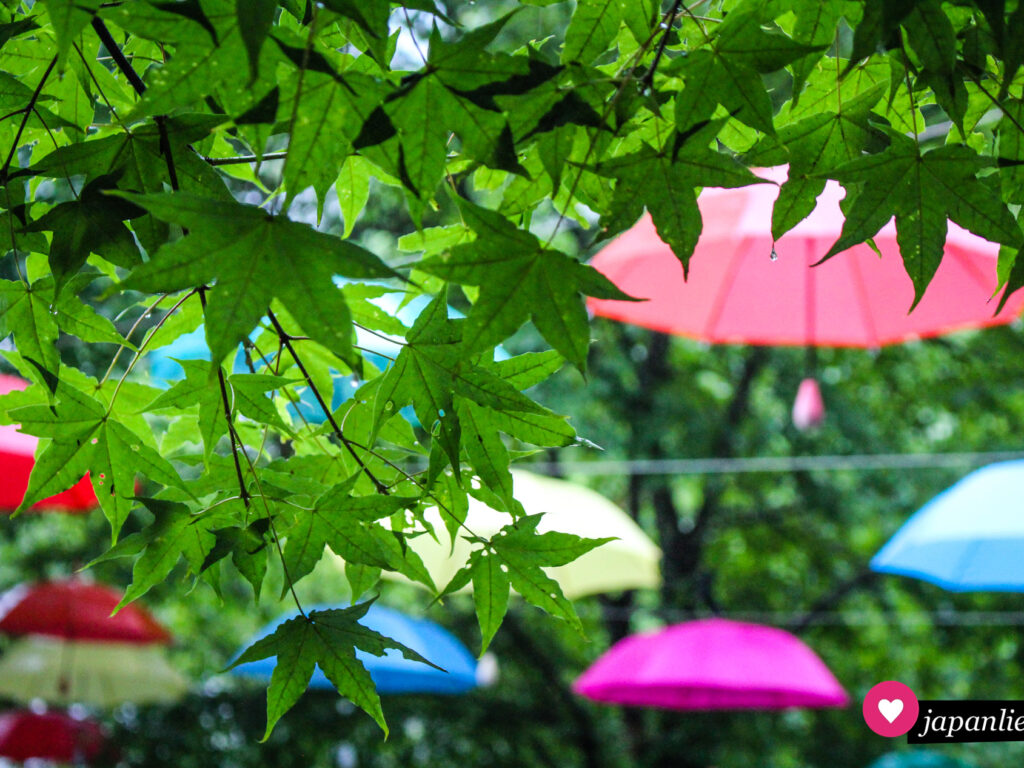 Bunte Regenschirme auf der „Harunire Terrace“ in Karuizawa.