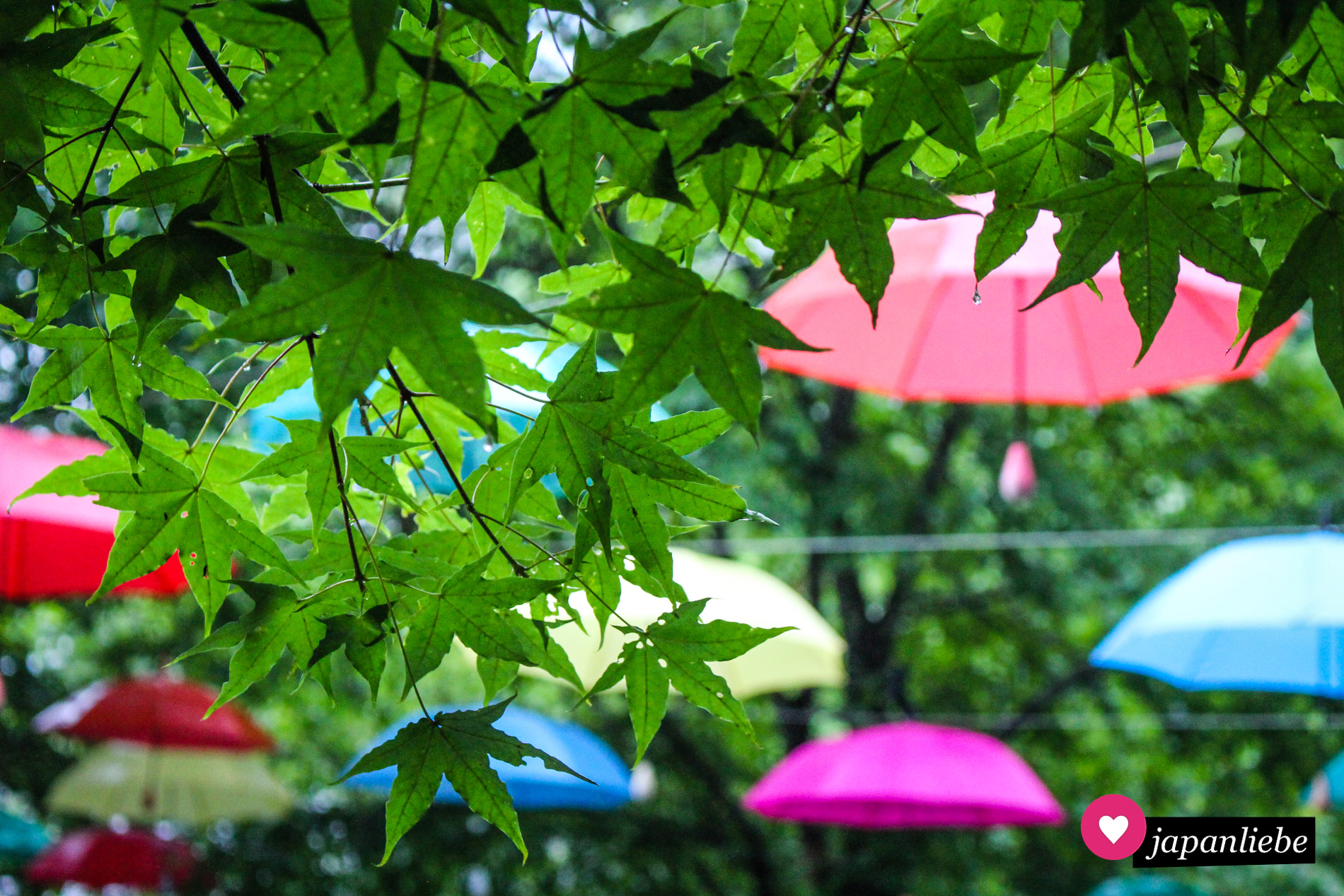 Bunte Regenschirme auf der „Harunire Terrace“ in Karuizawa.