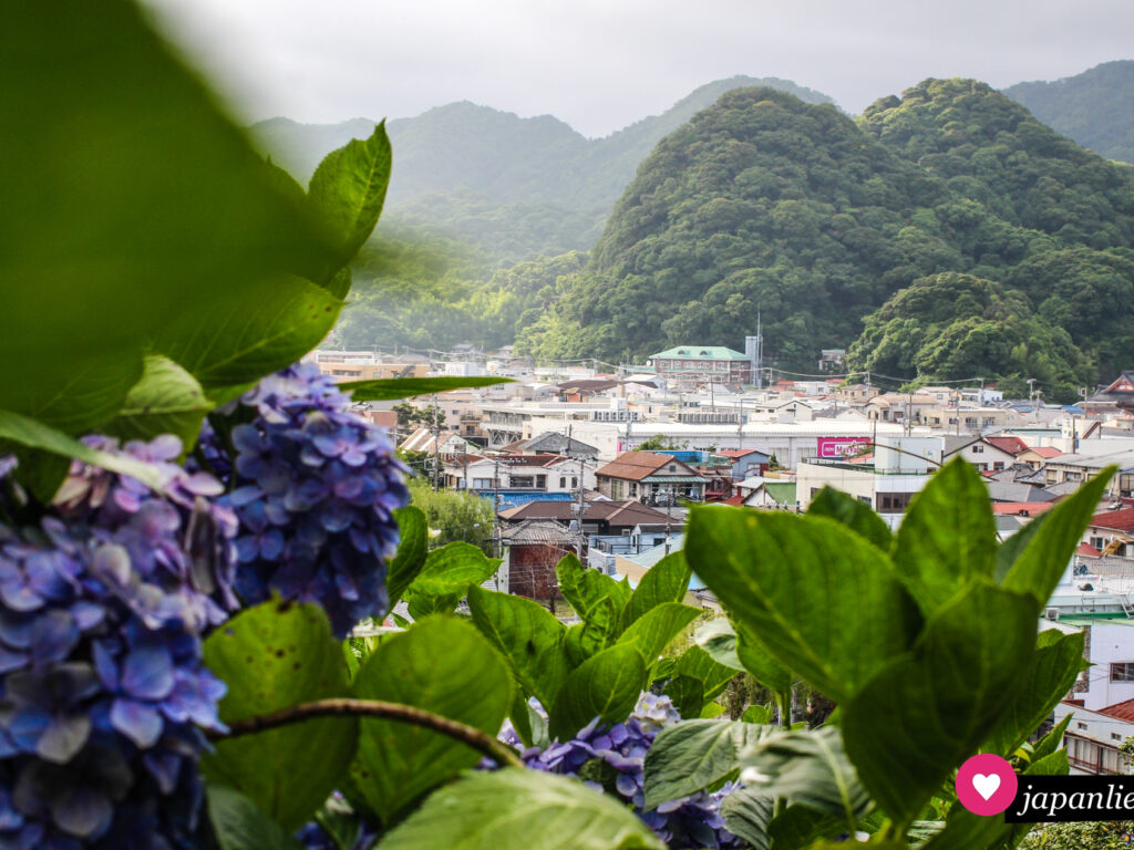 Blick vom Shimoda-Park über die Stadt zur Hortensienzeit.
