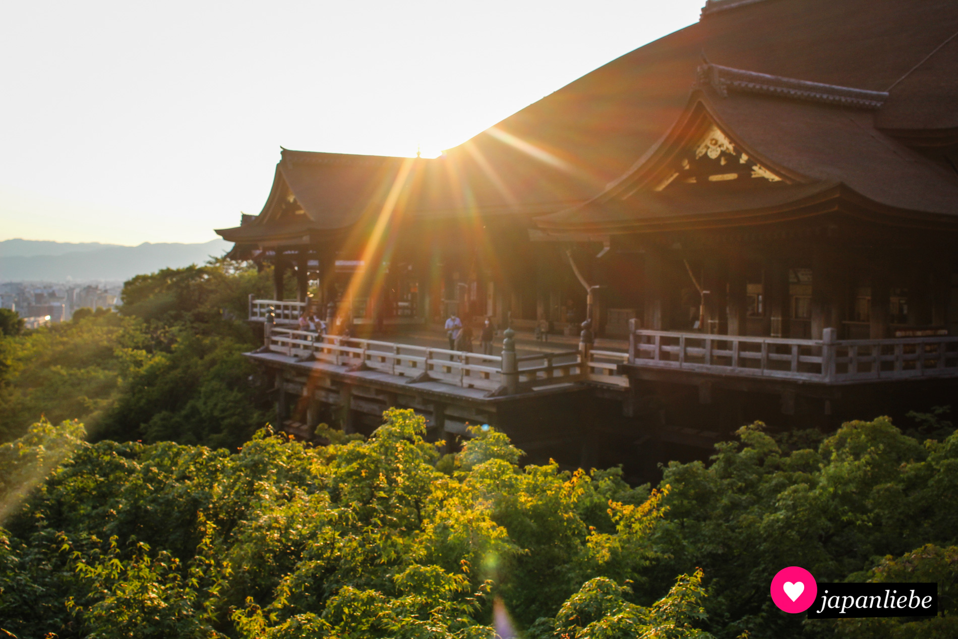 Der Kiyomizu-dera zur Abendsonne.