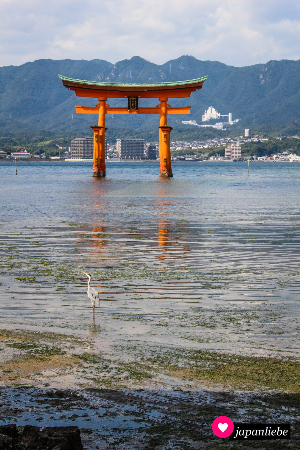 Japans Bekanntester Schrein Und Sein Tor Im Wasser [unesco