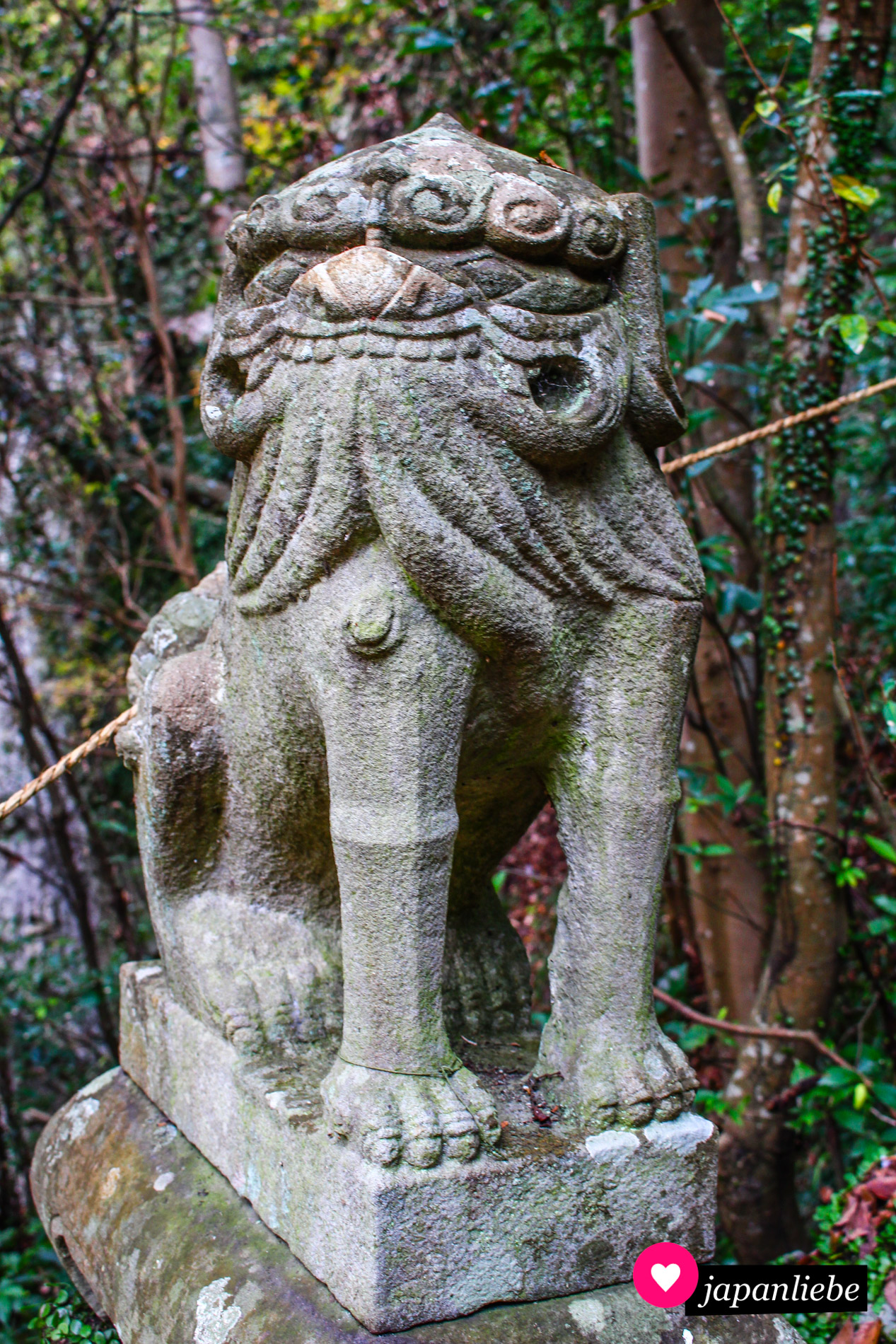 Sehr geradbeinig wacht dieser etwas albern dreinblickende „komainu“ am Kumanogongen Schrein in Shionoe auf Shikoku.