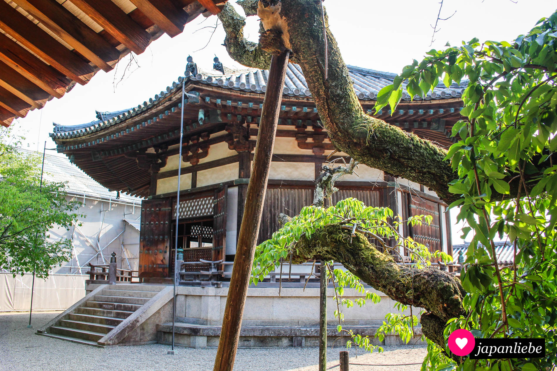 Sticht sofort durch ihre achteckige Form ins Auge: die Yumenodō-Halle, in der sich eine lebensgroße Figur von Prinz Shōtoku befindet.