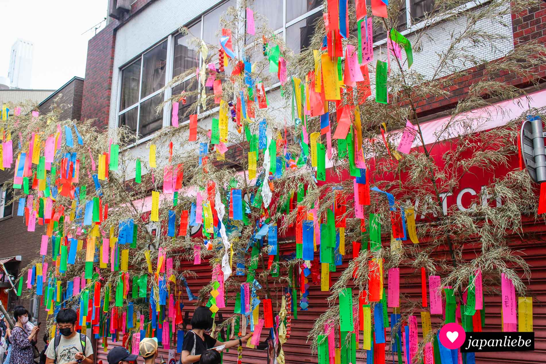Viele bunte Wünsche hängen auf „tanzaku“-Papierstreifen an Bambuszweigen beim Sternenfest in Kawaguchi.