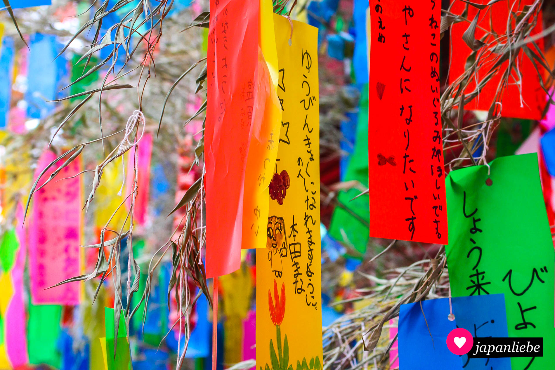 Zum „tanabata“-Sternenfest in Japan werden Wünsche auf bunte Papierstreifen namens „tanzaku“ geschrieben.