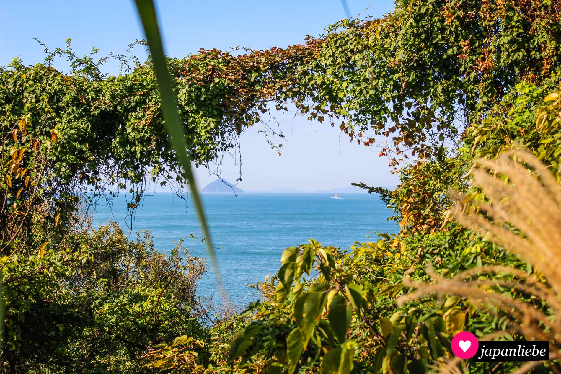 Ein zugewucherstes Kabel bildet einen natürlichen Rahmen für den Ausblick aufs Meer.