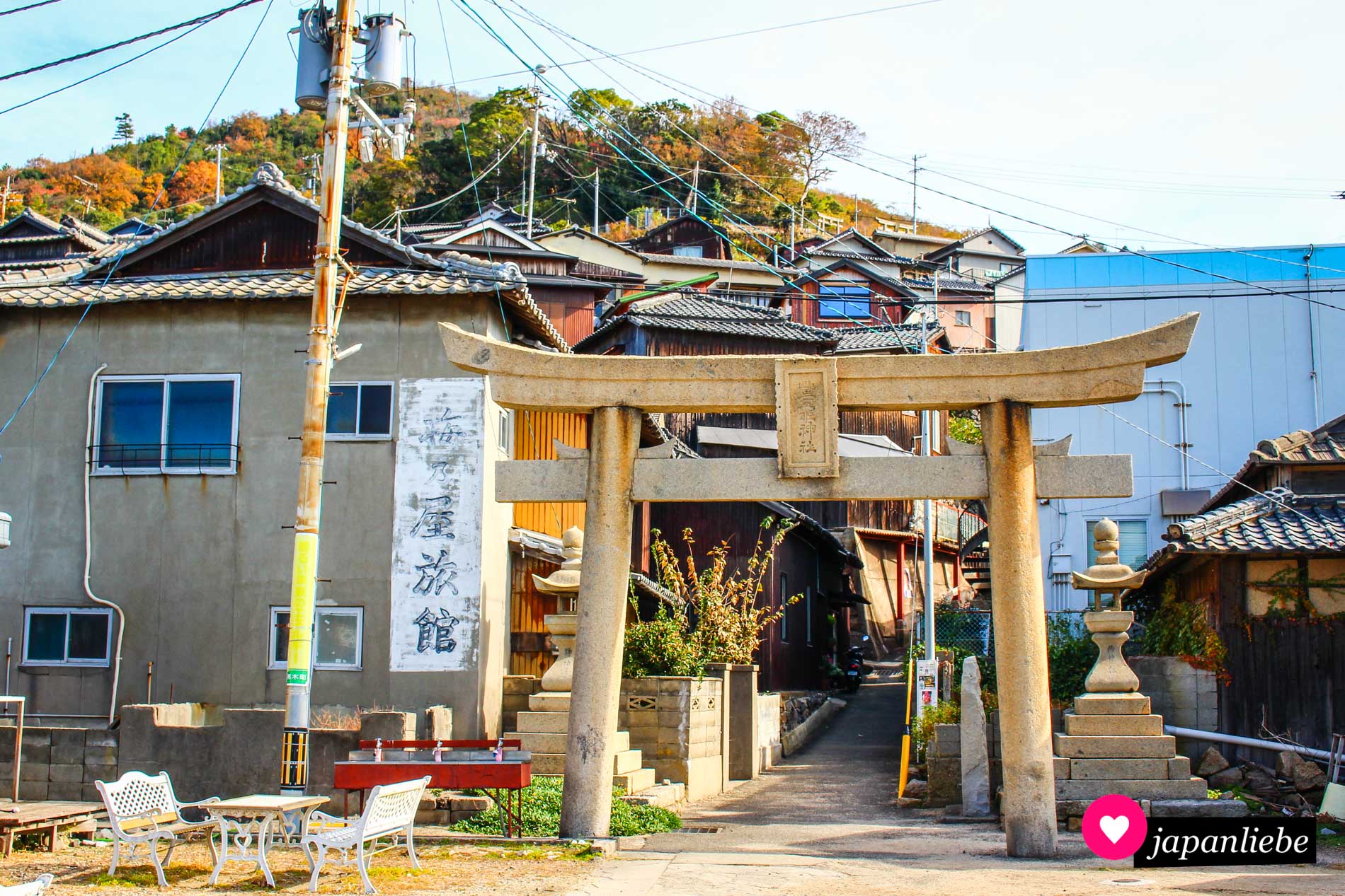 Torii leiten den Weg zum Toyotamahime-Schrein.