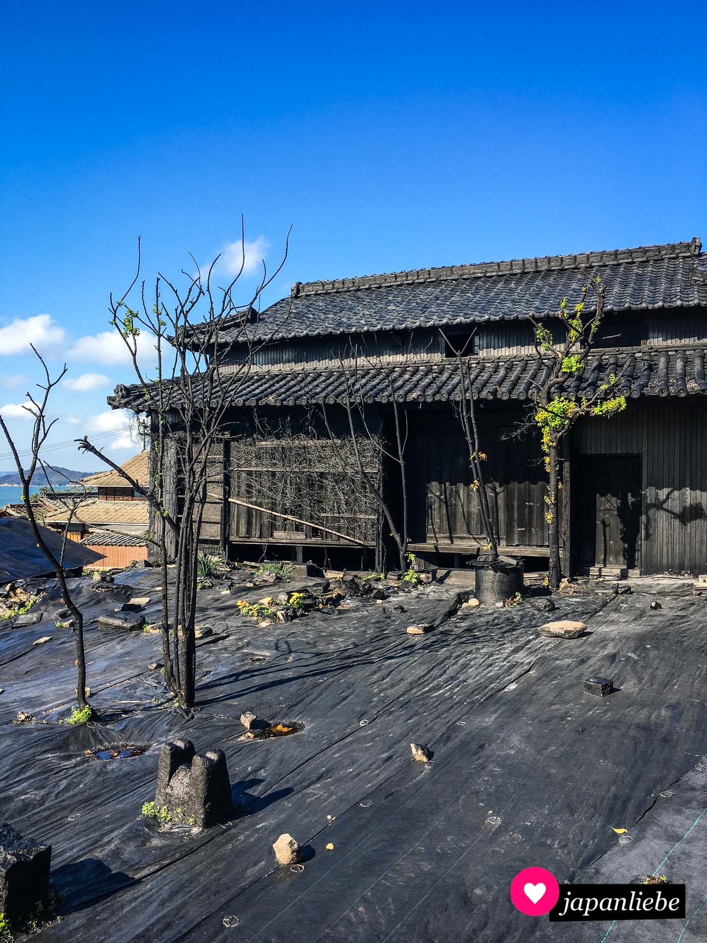 Bei diesem Kunstwerk wurde ein ganzes Haus plus Garten in Schwarz verkleidet.